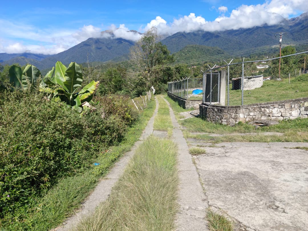 WhatsApp Image 2025-10-24 at 10.07.34 AM.jpeg