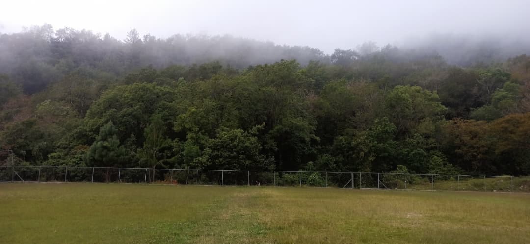 WhatsApp Image 2025-11-06 at 11.50.31 AM.jpeg