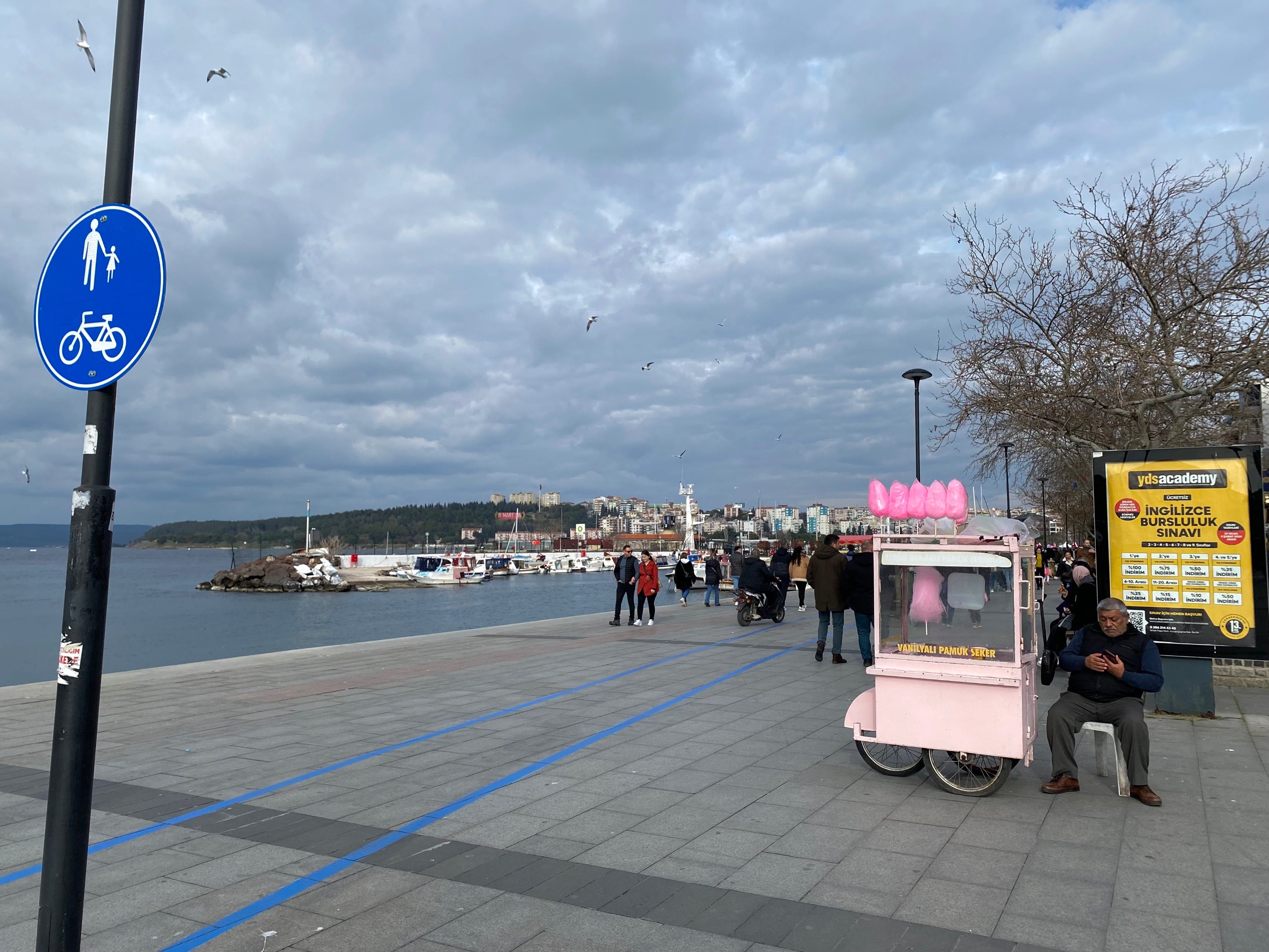 IMG_3671.jpeg