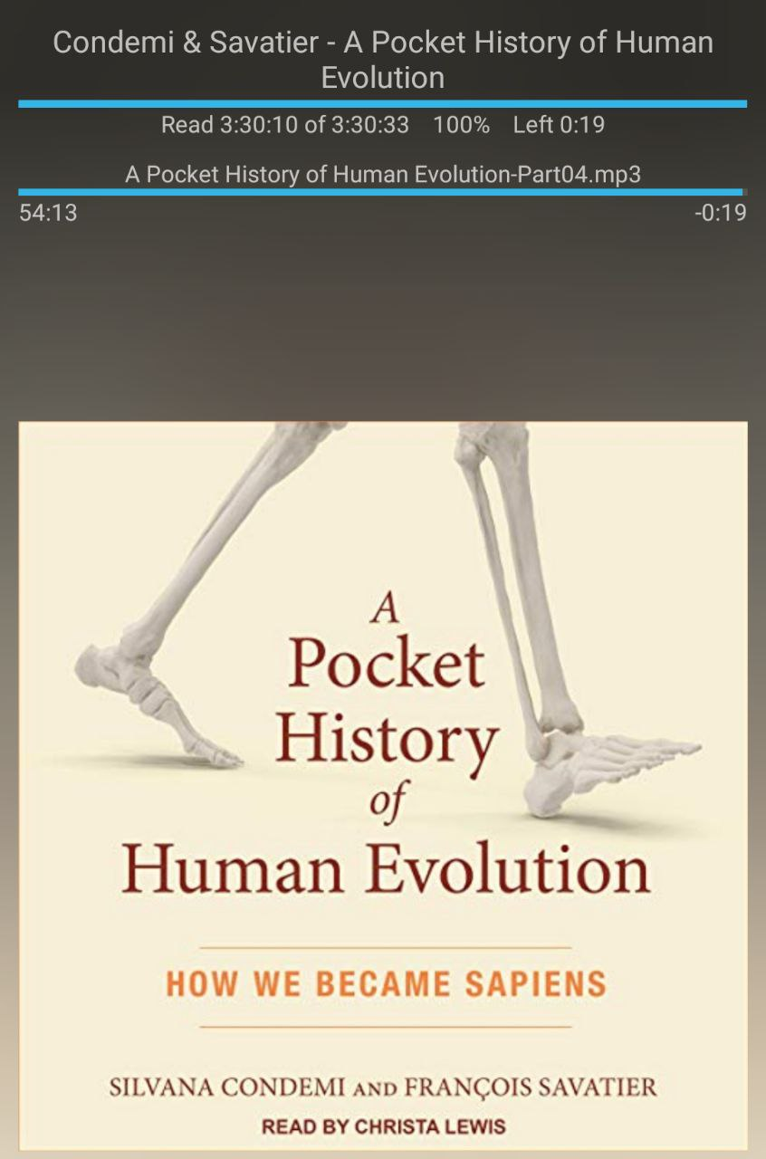 screenshot from my audiobook app