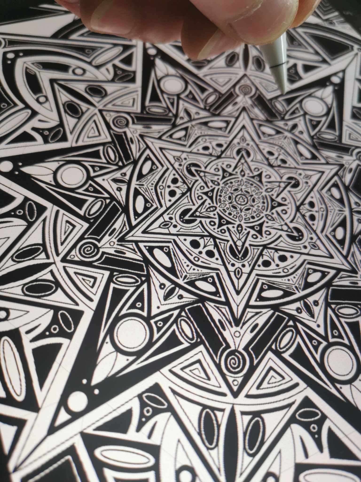 363397386_1776015076146483_7274230756719685492_n.jpg