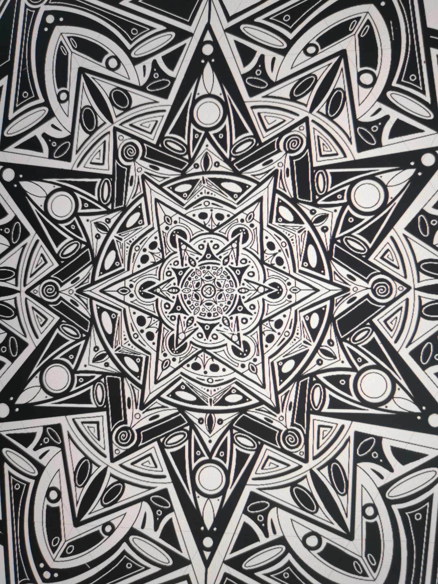 363065851_211680834828742_1233710098872092361_n.jpg