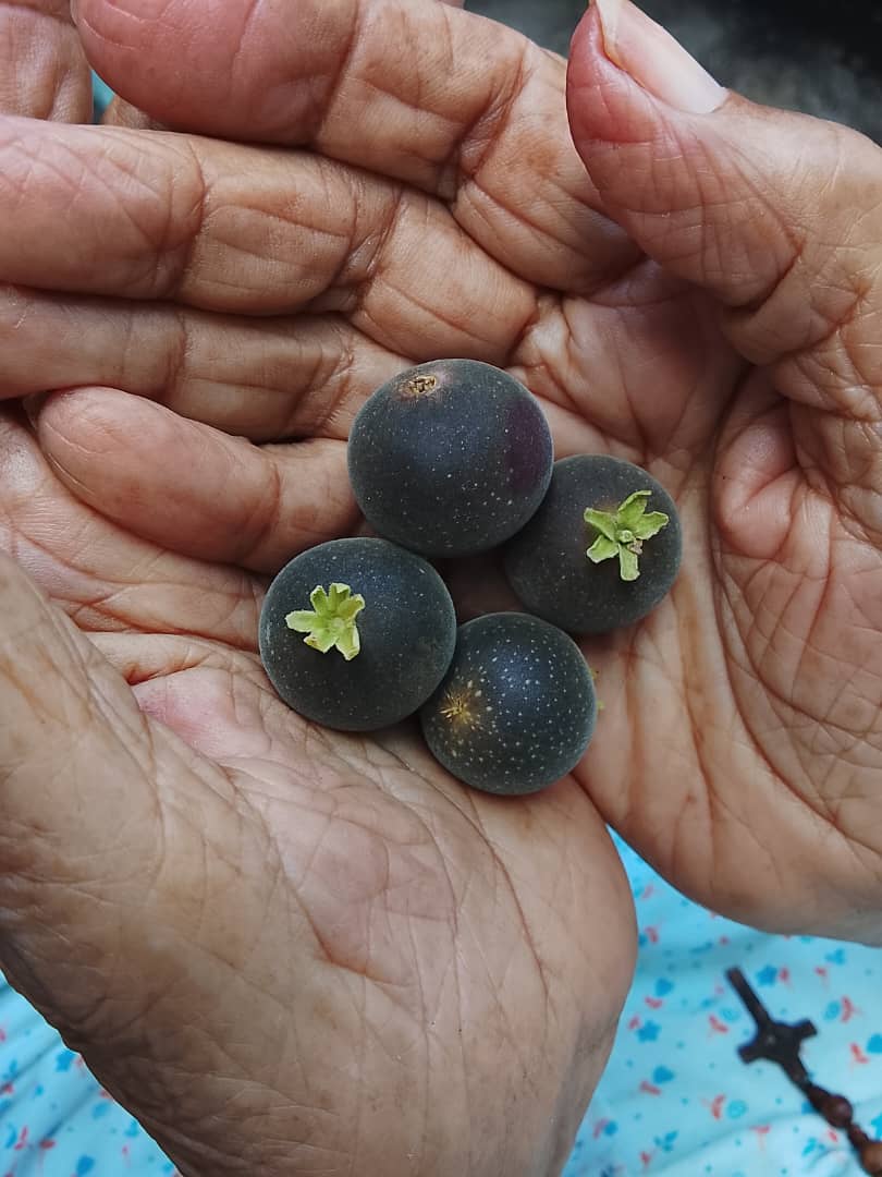 Imagen de WhatsApp 2025-10-31 a las 16.29.31_bc8f6a93.jpg