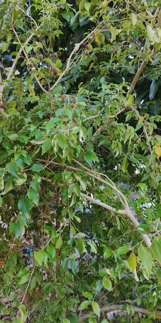 Imagen de WhatsApp 2025-10-29 a las 21.39.25_d914d882.jpg