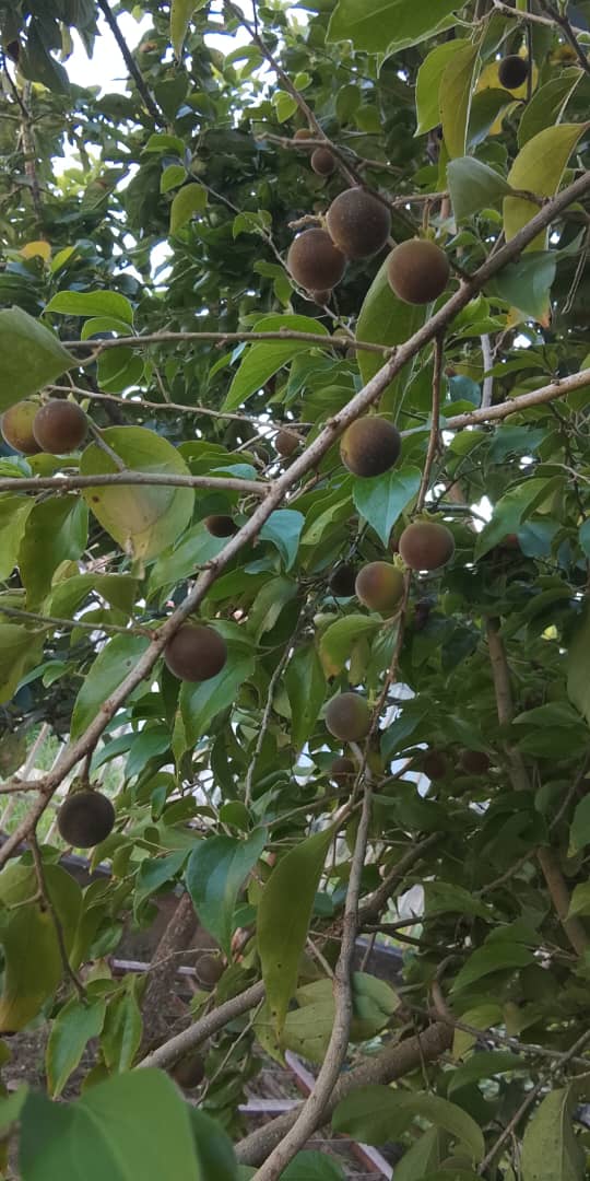 Imagen de WhatsApp 2025-10-29 a las 21.39.25_88eb2513.jpg