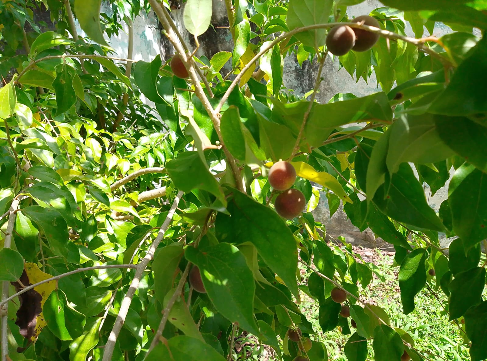 Imagen de WhatsApp 2025-10-29 a las 21.38.42_764e0991.jpg