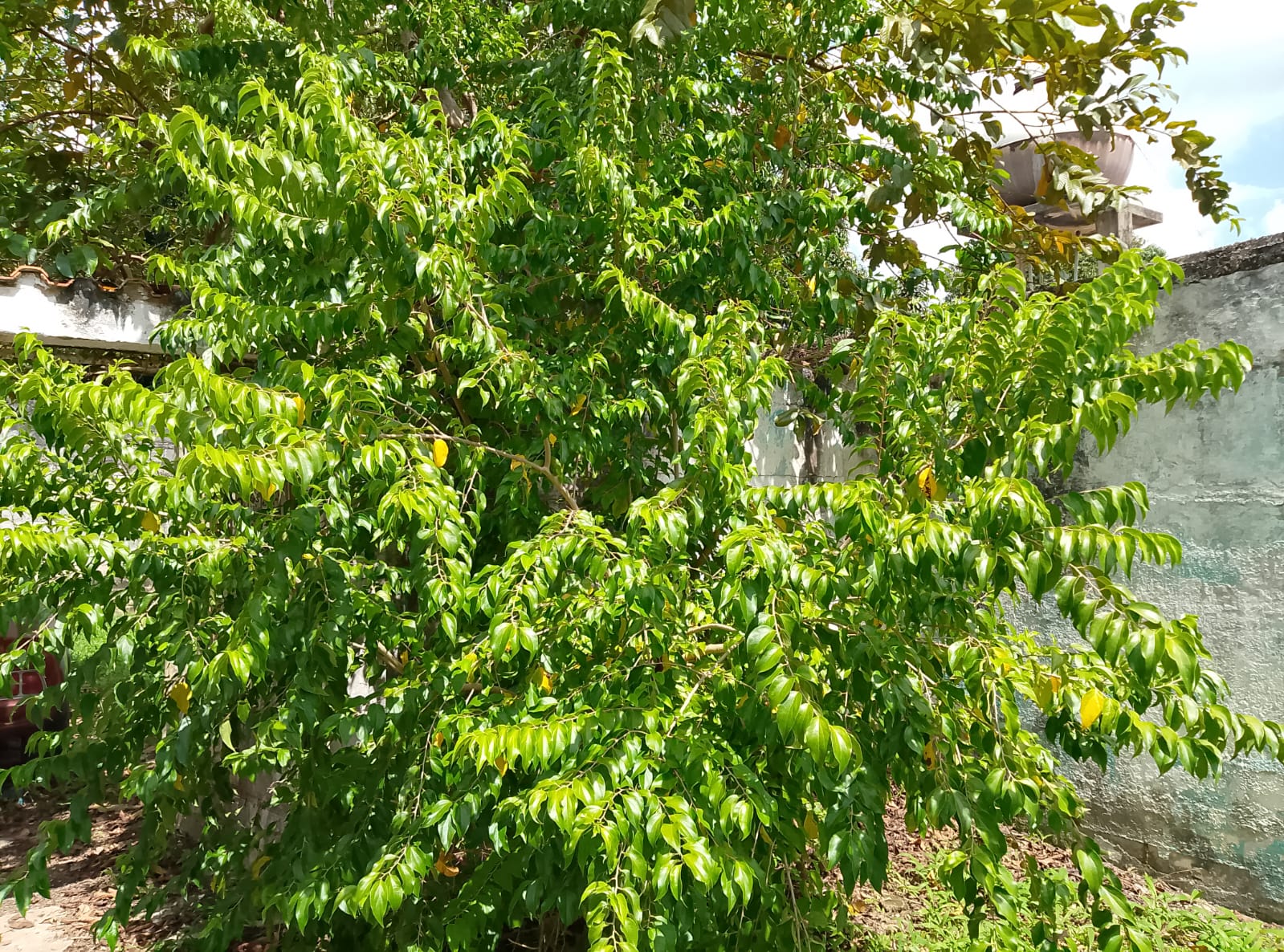 Imagen de WhatsApp 2025-10-29 a las 21.38.41_37578c52.jpg