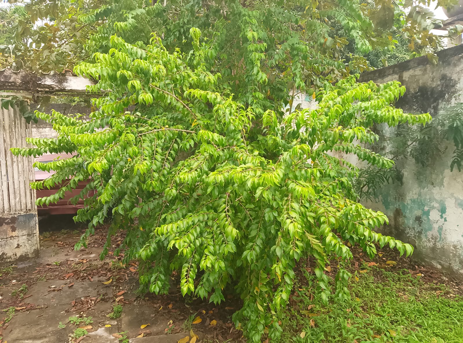 Imagen de WhatsApp 2025-10-29 a las 21.38.00_deff9789.jpg