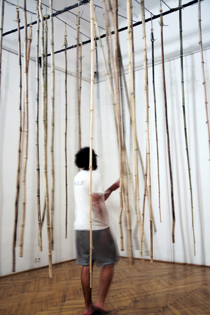 victor_lima_work_forest_of_fiction.jpg