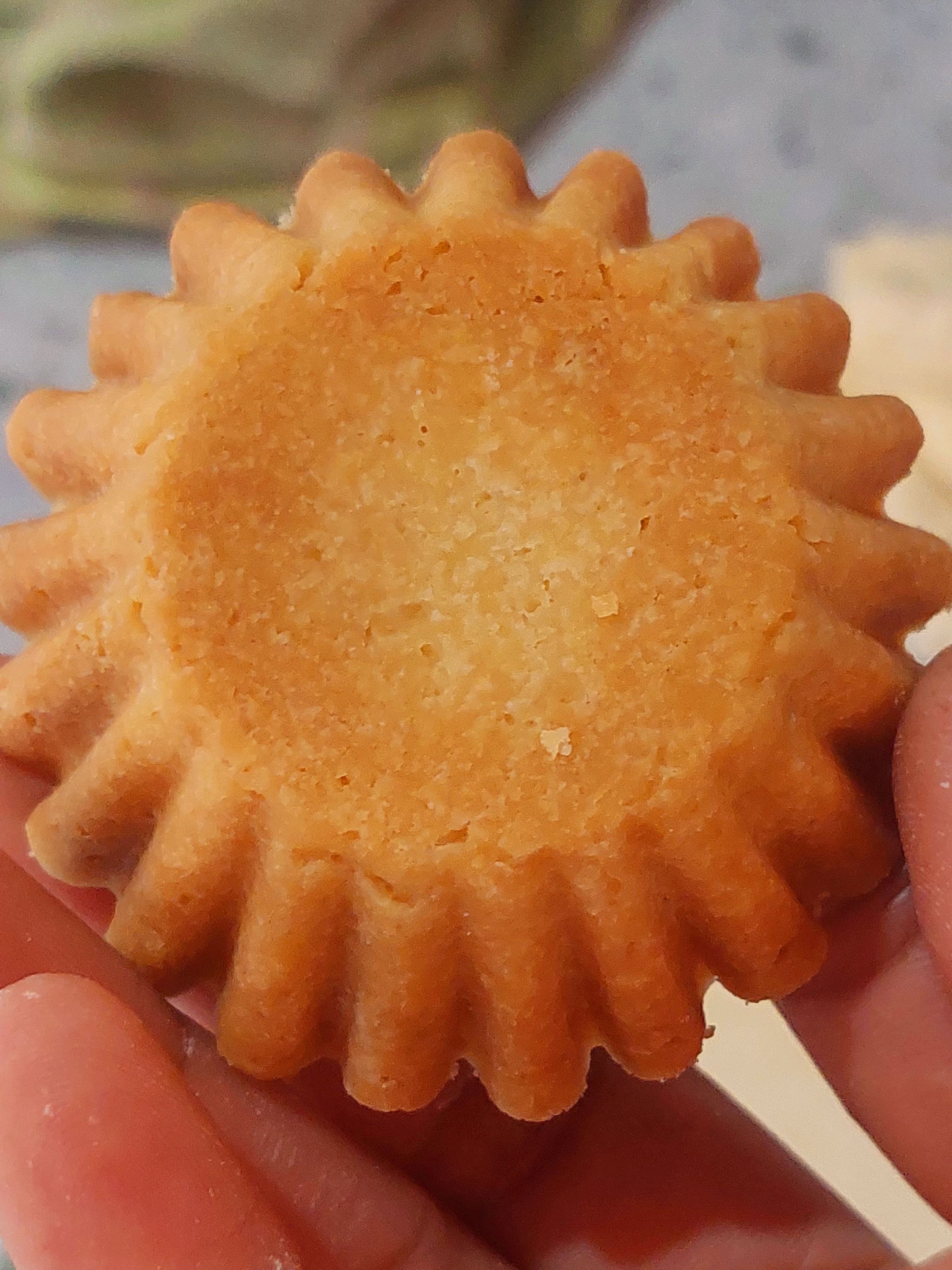20250918_124309.jpg