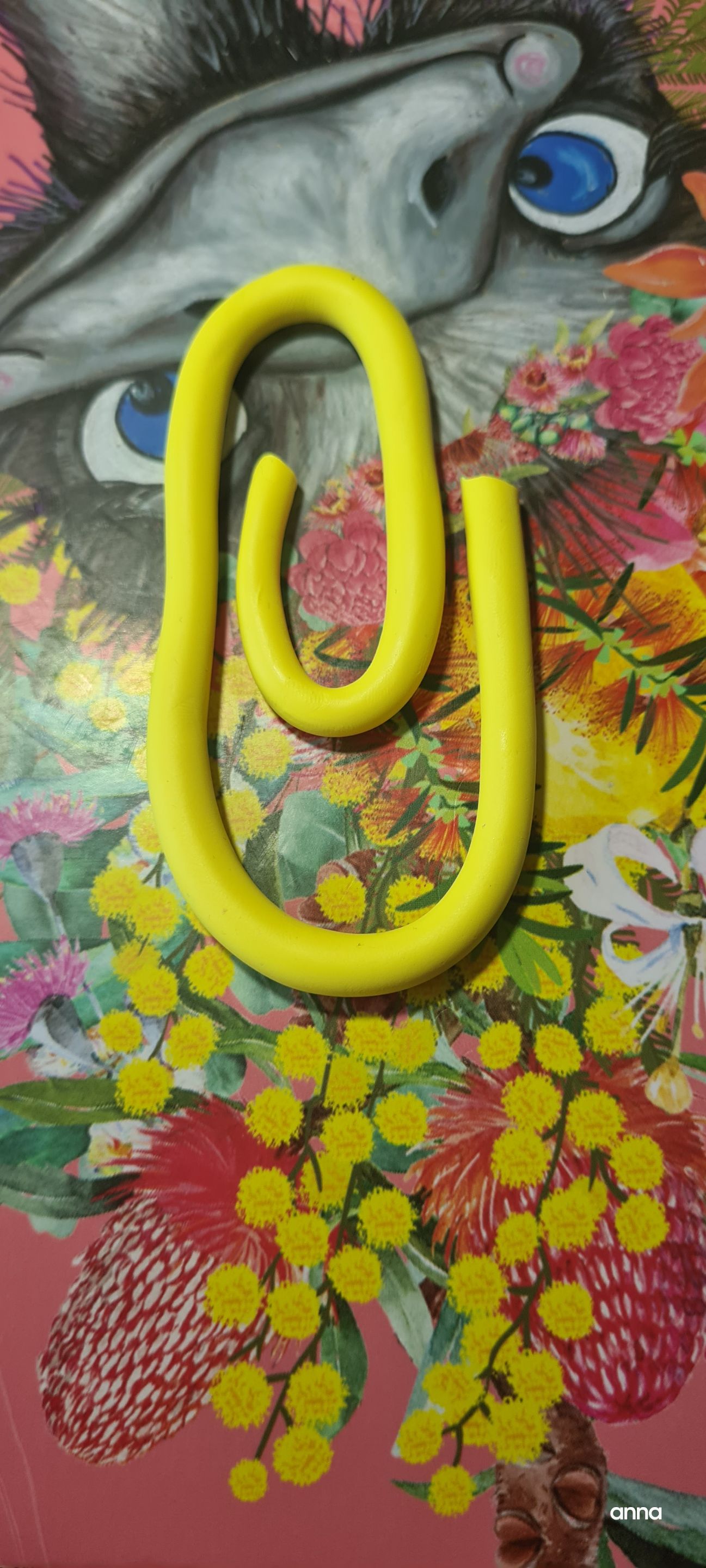 20250421_103741.jpg