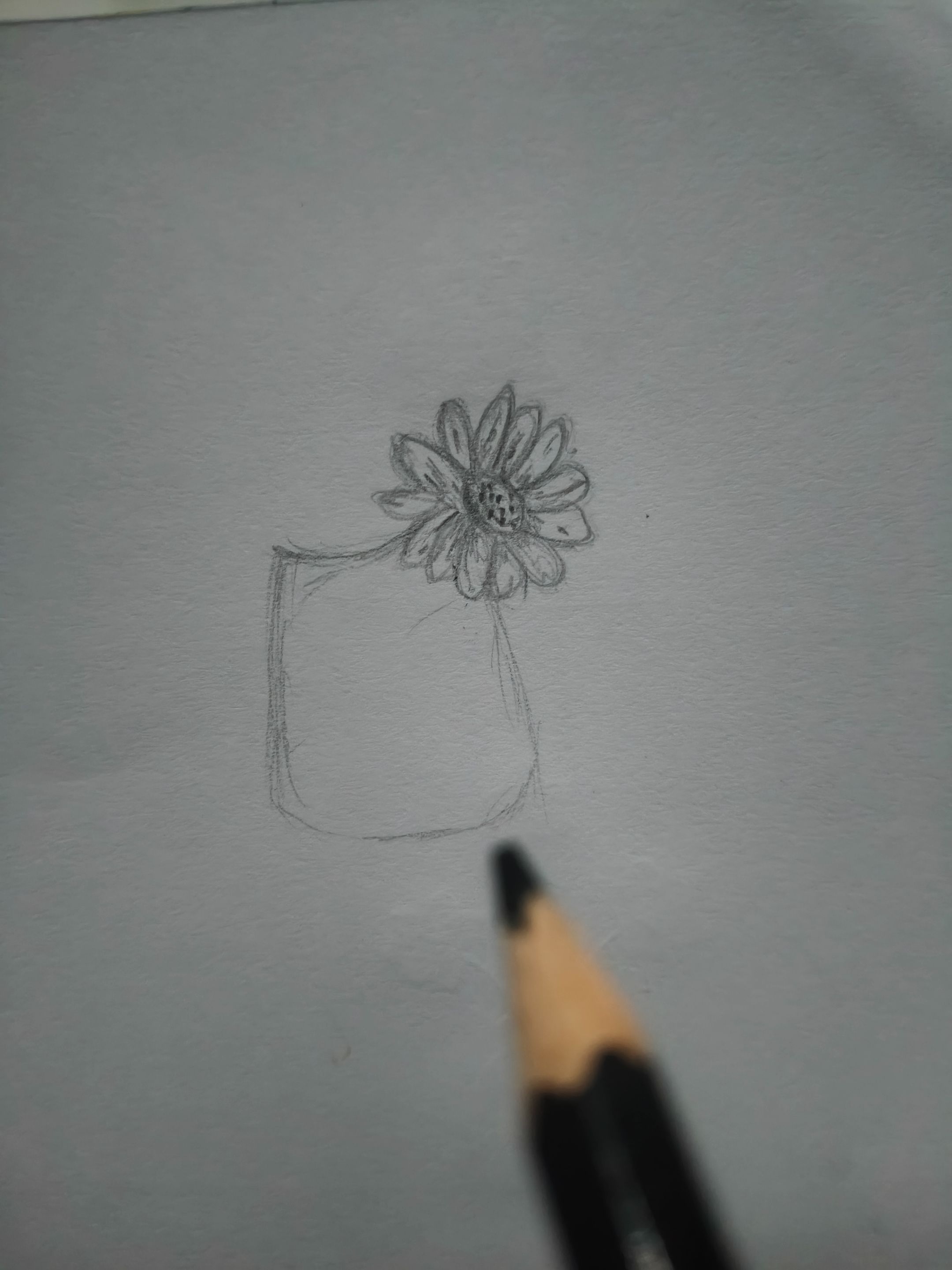 1000266718.jpg