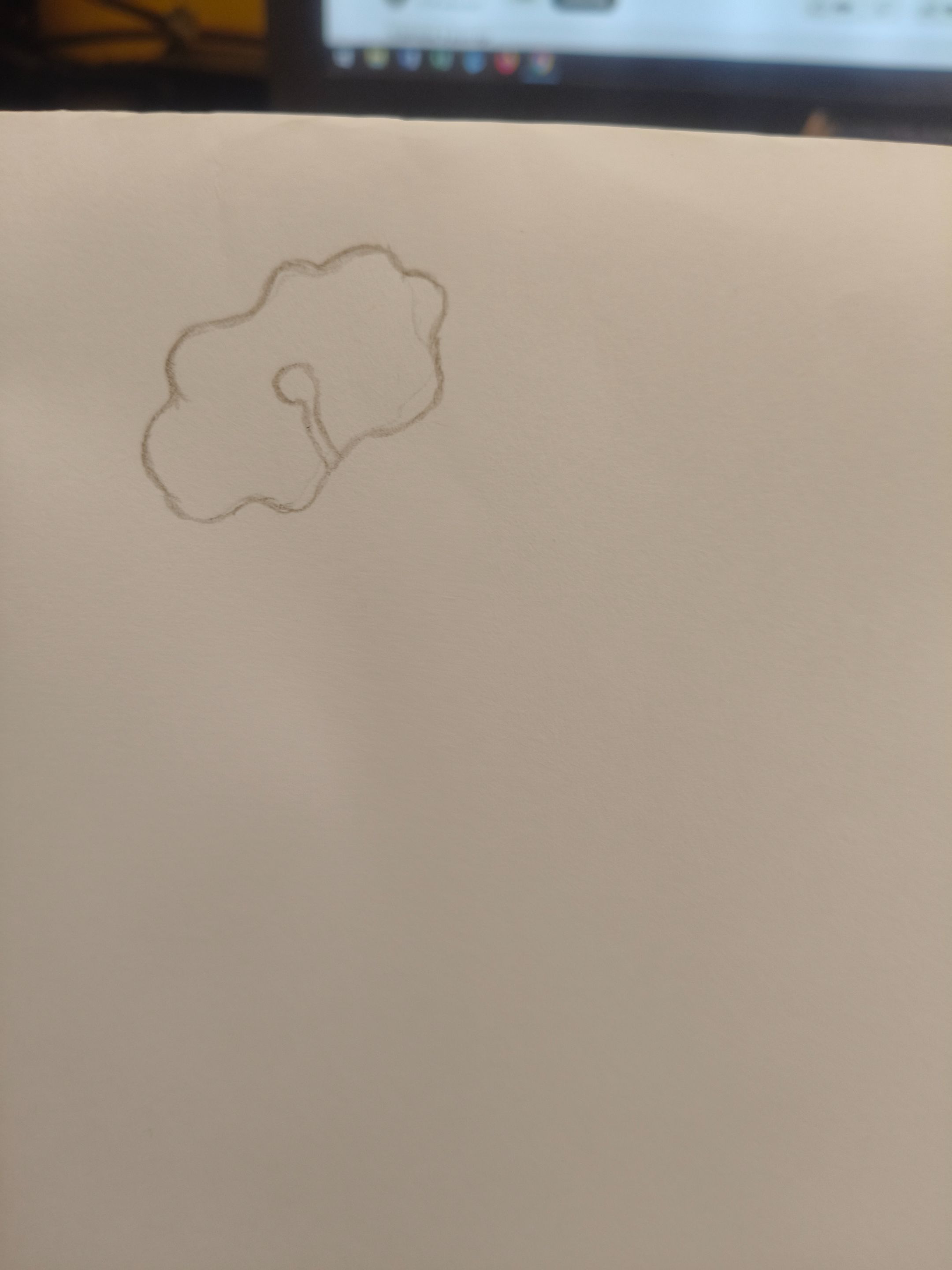 1000345541.jpg