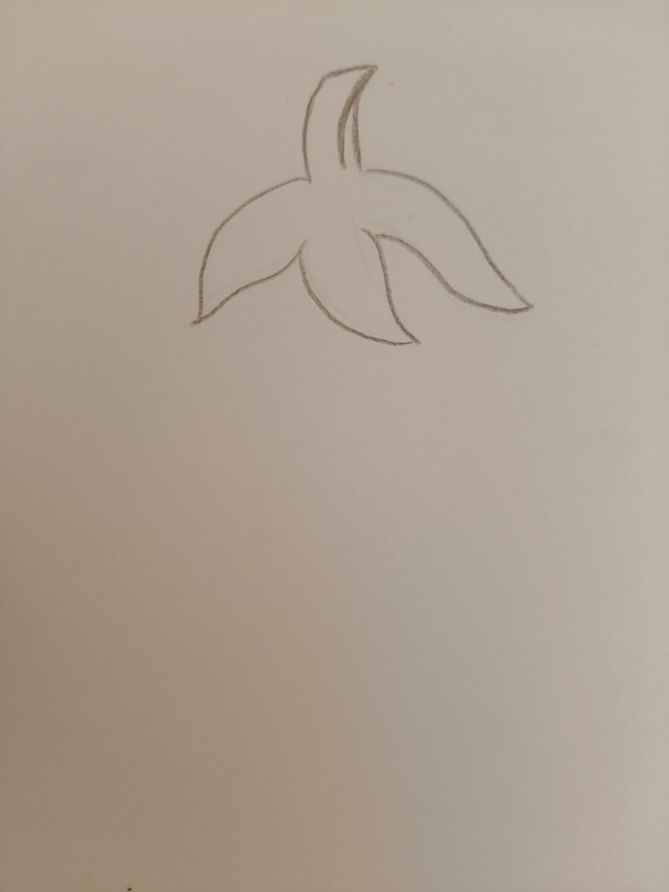 1000414176.jpg