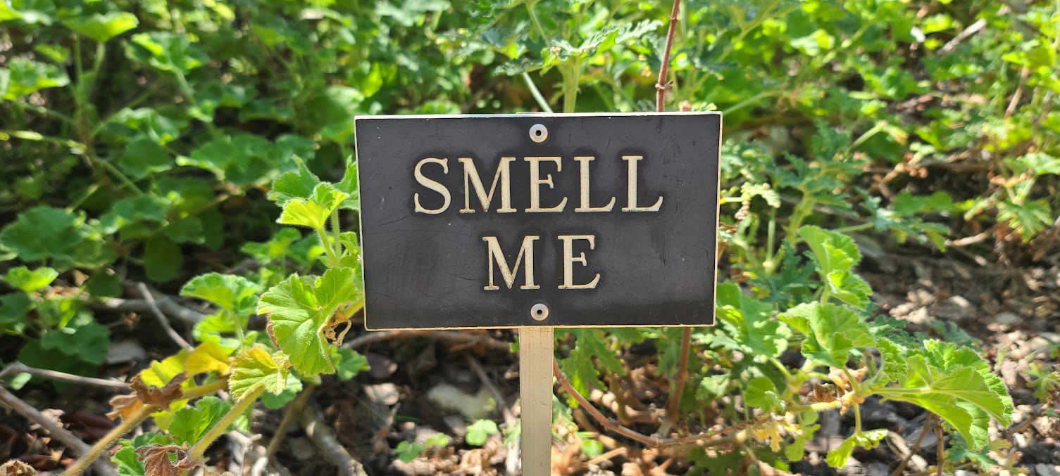 This sign, although perfectly innocent really made me laugh.