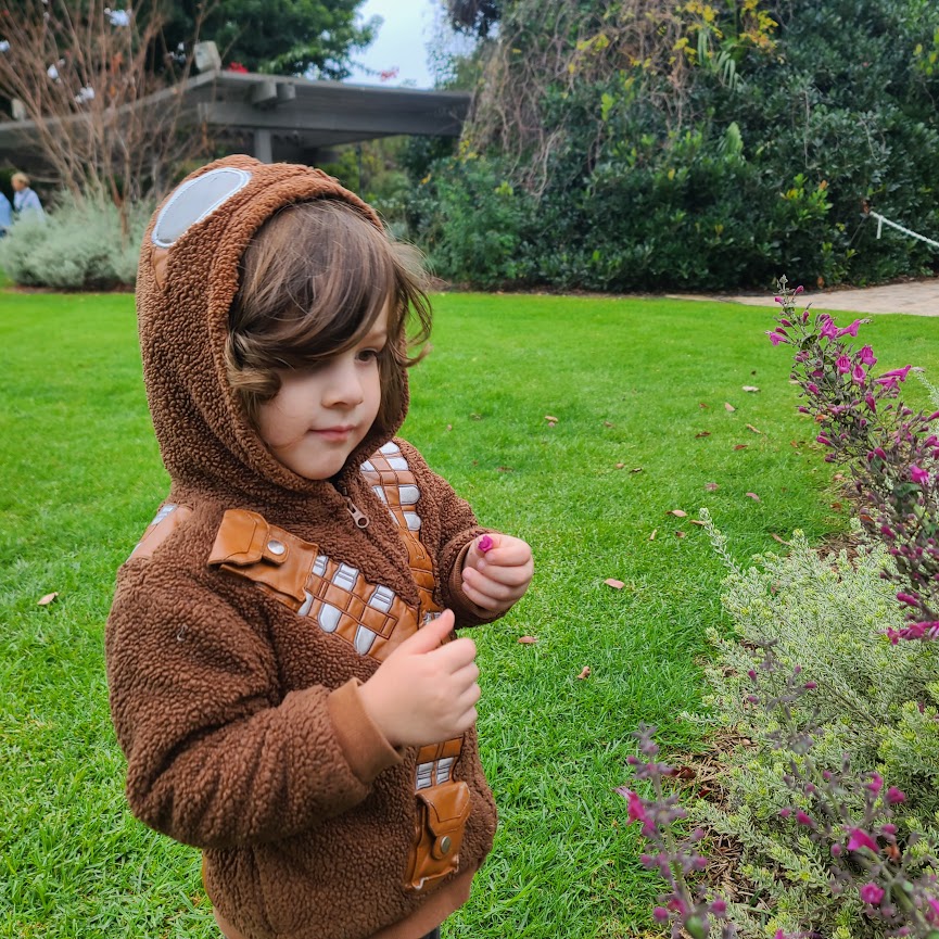 He has to pick flowers from every plant