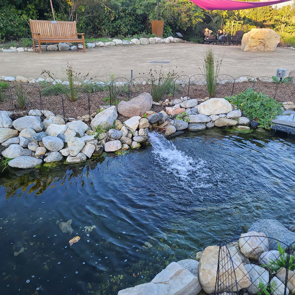 The new pond with water circulating through