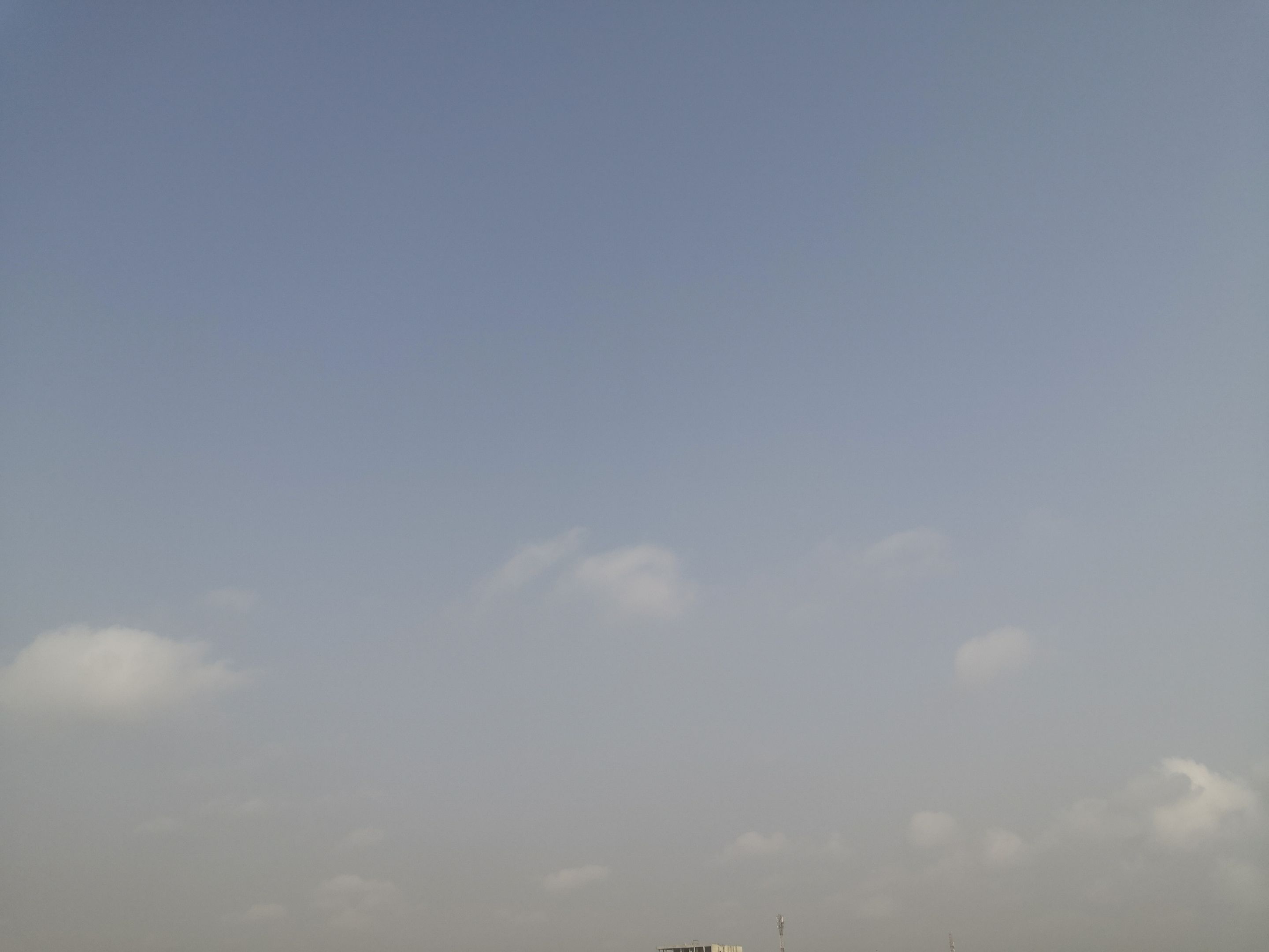 IMG_20250105_094457.jpg