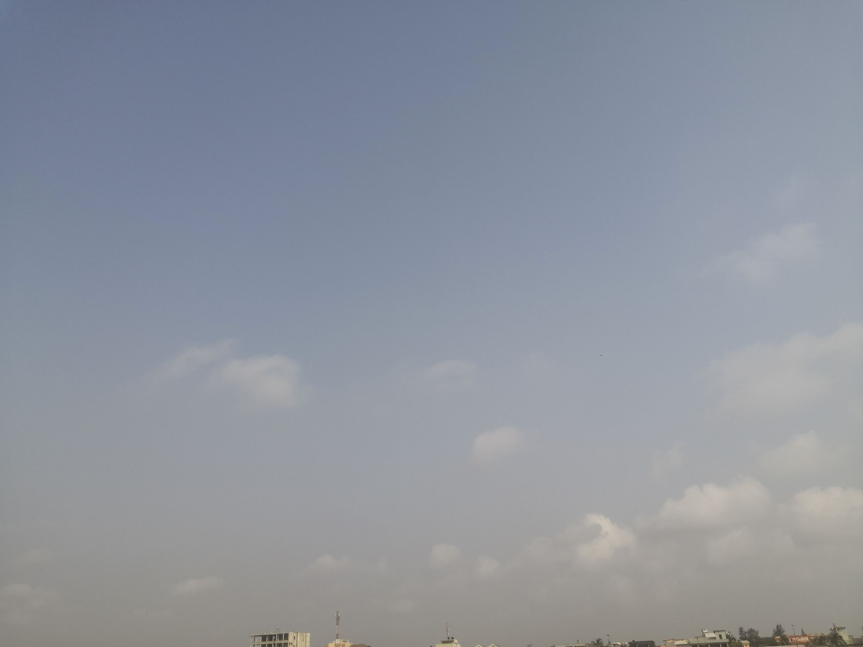 IMG_20250105_094500.jpg