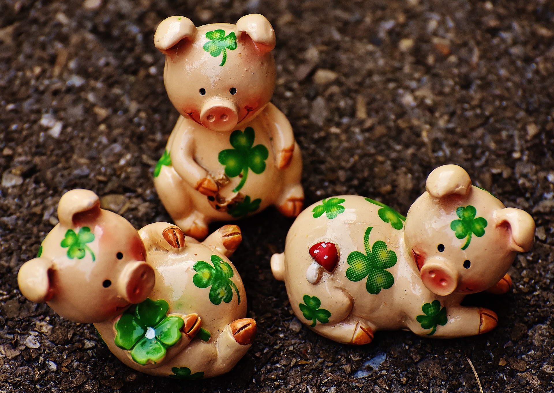 luckypig1697329_1920.jpg