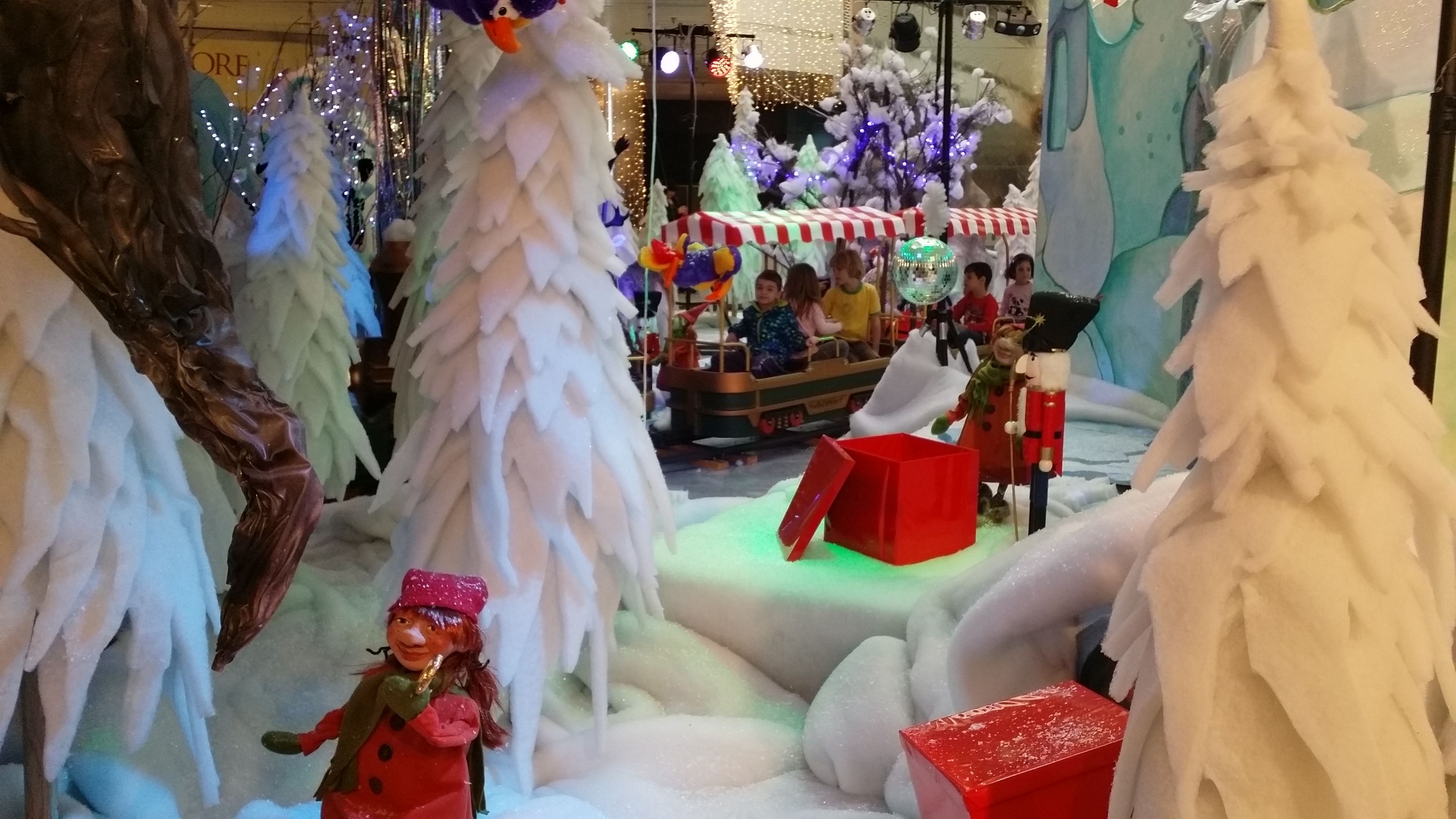 20141222_153137.jpg