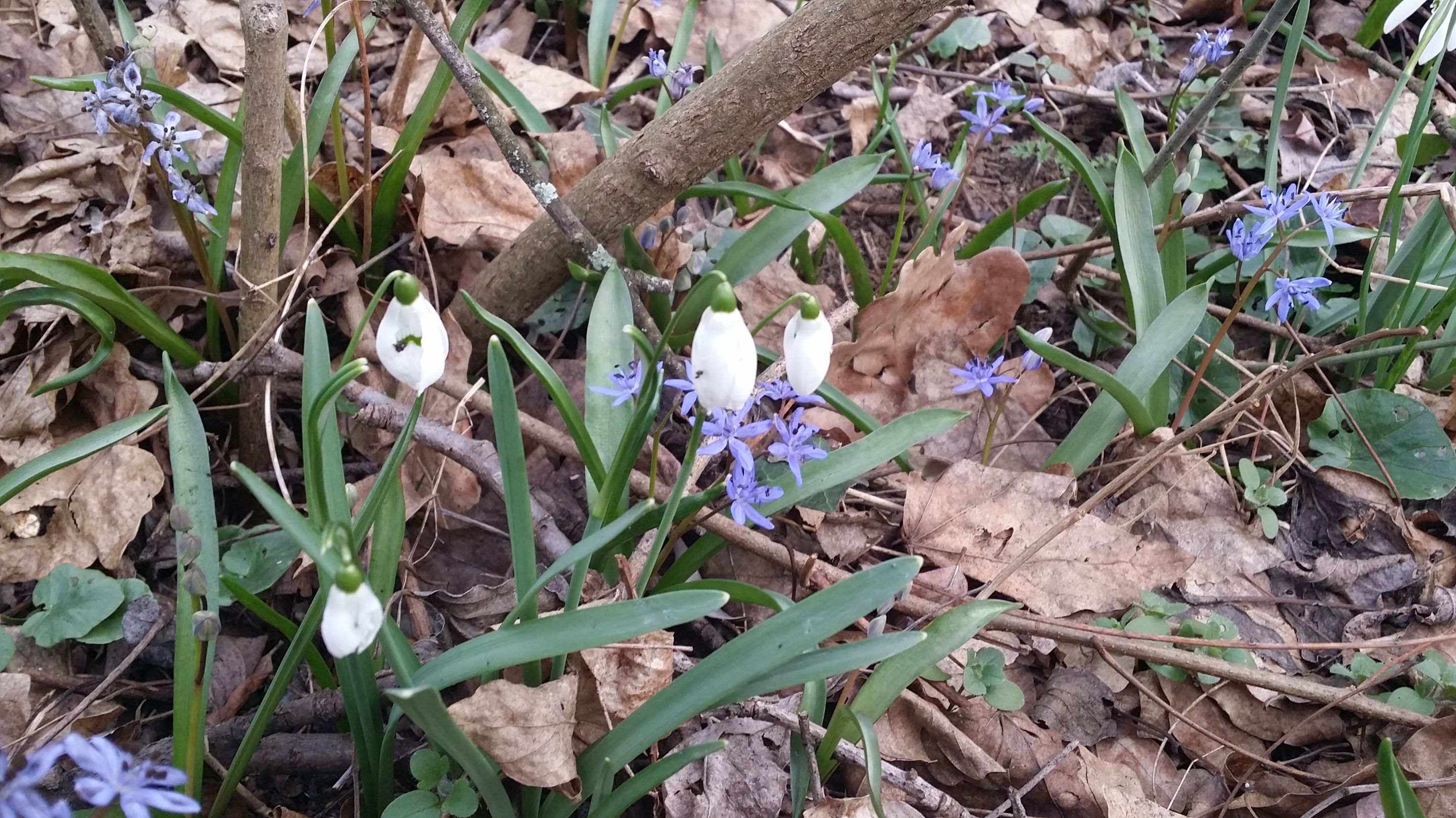 20190310_162216.jpg