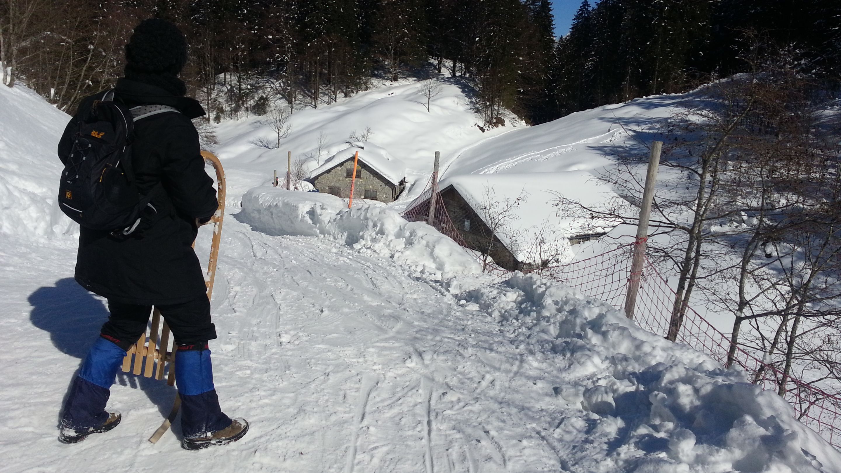 20130218_132857.jpg
