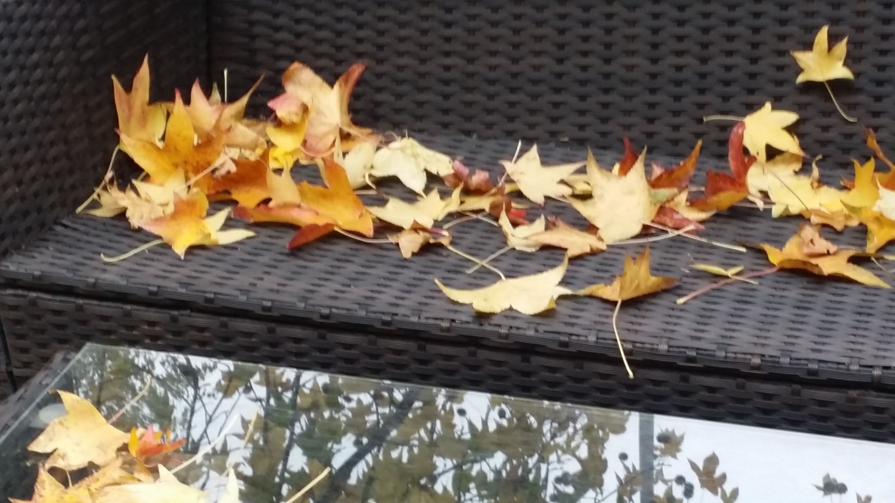 20201104_141902.jpg