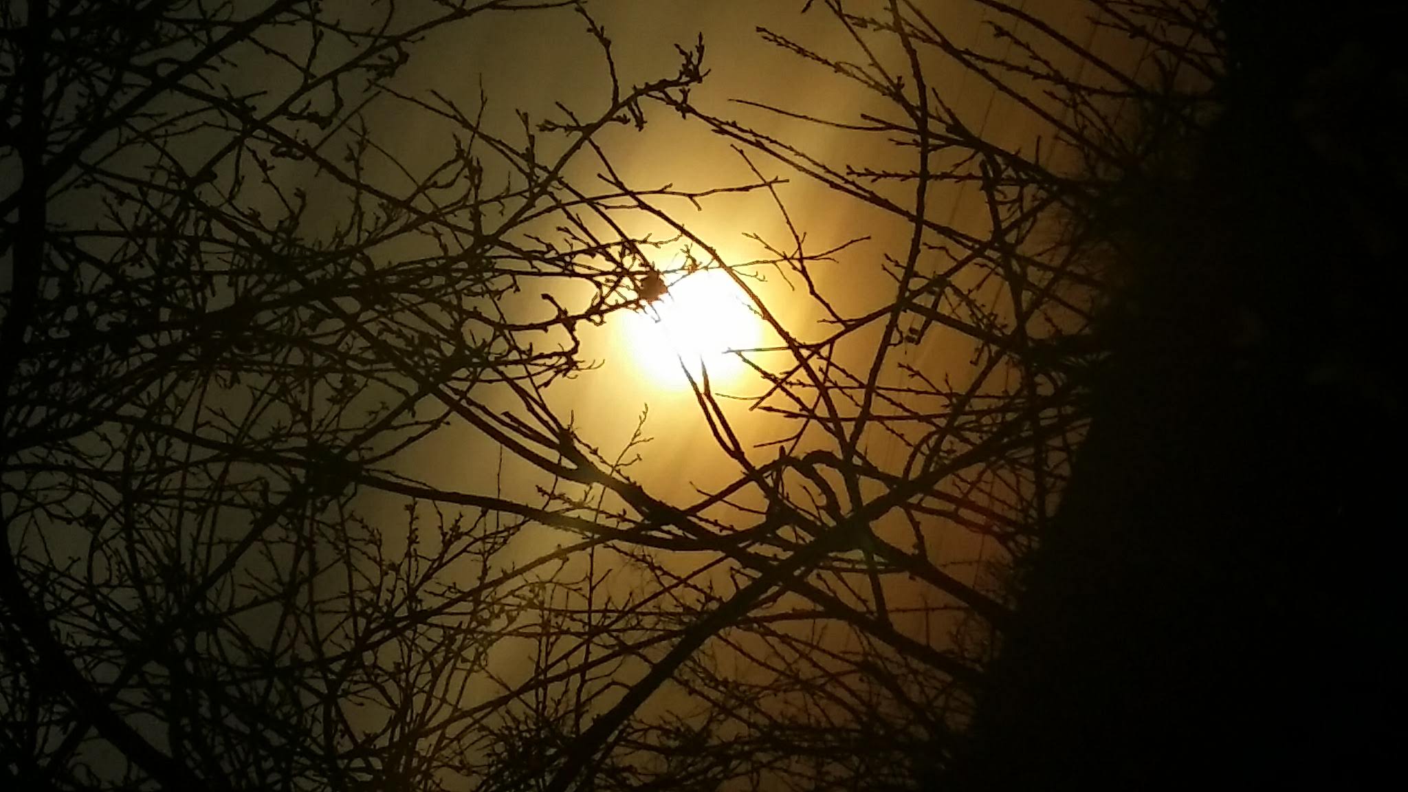 20210401_182535.jpg