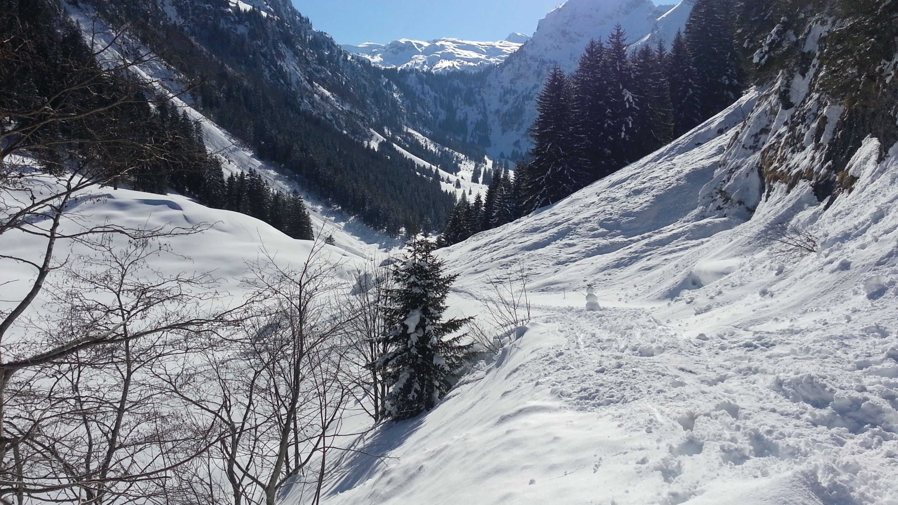 20130218_132909.jpg
