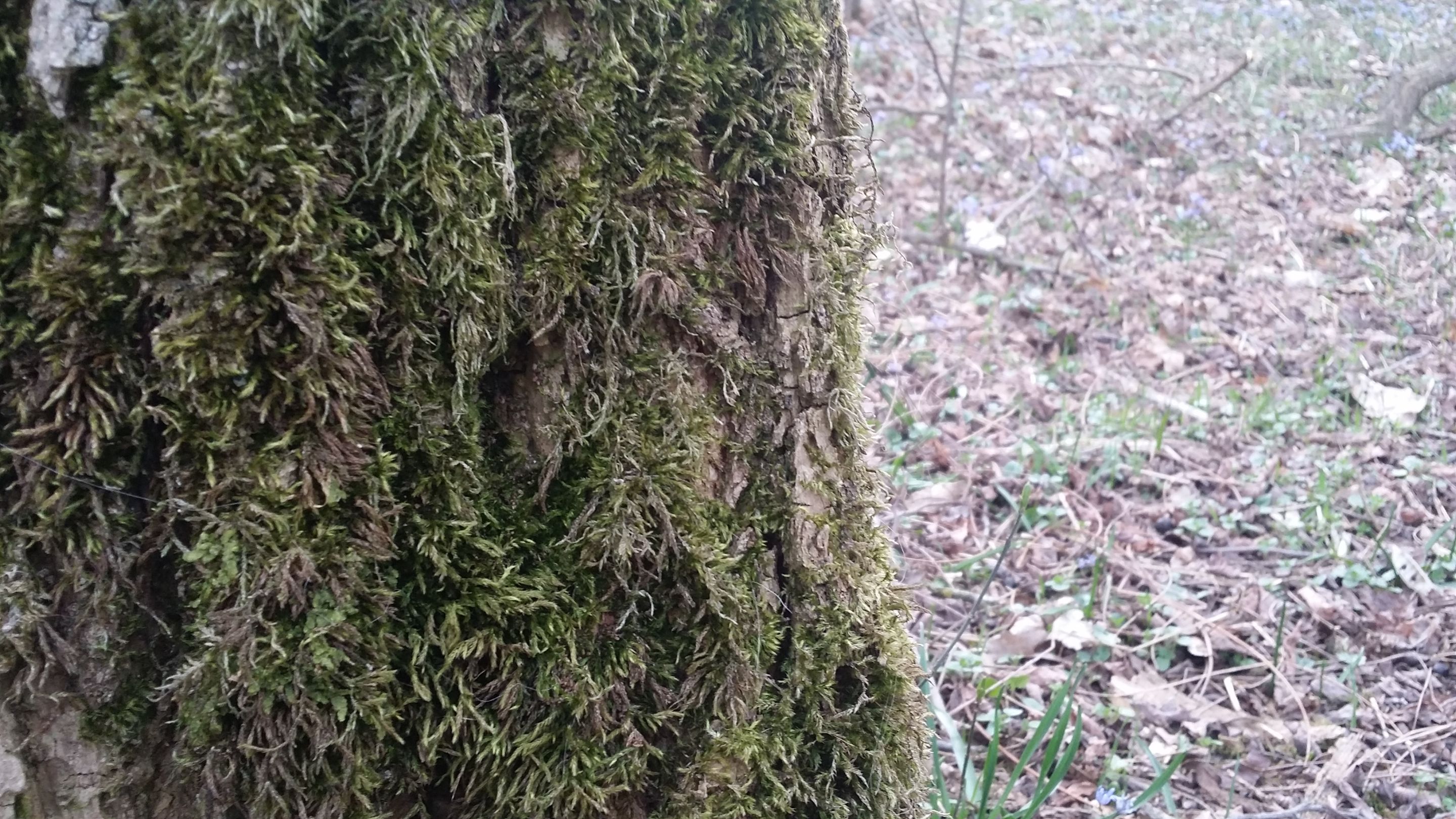 20190310_162656.jpg