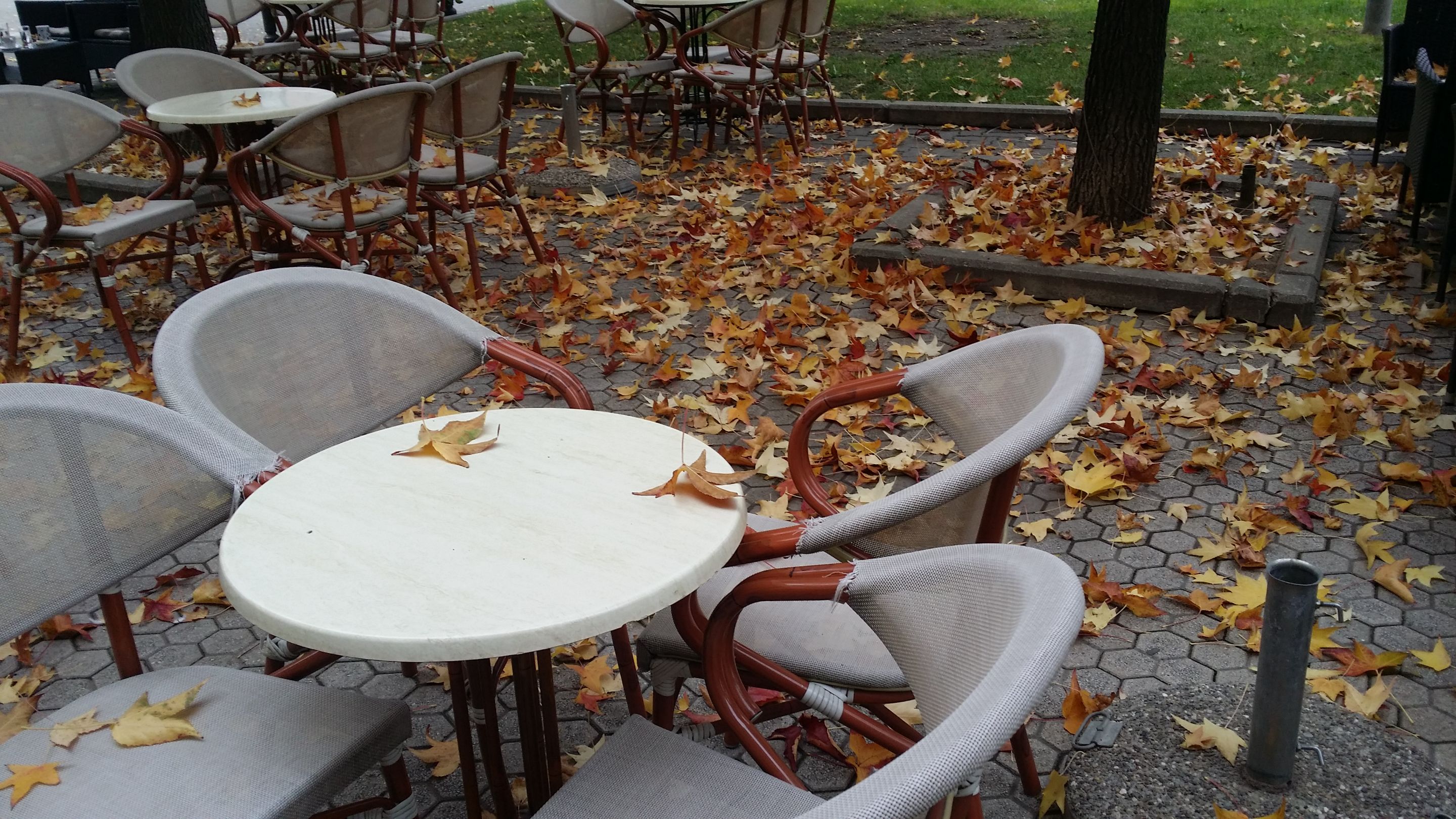 20201104_141855.jpg