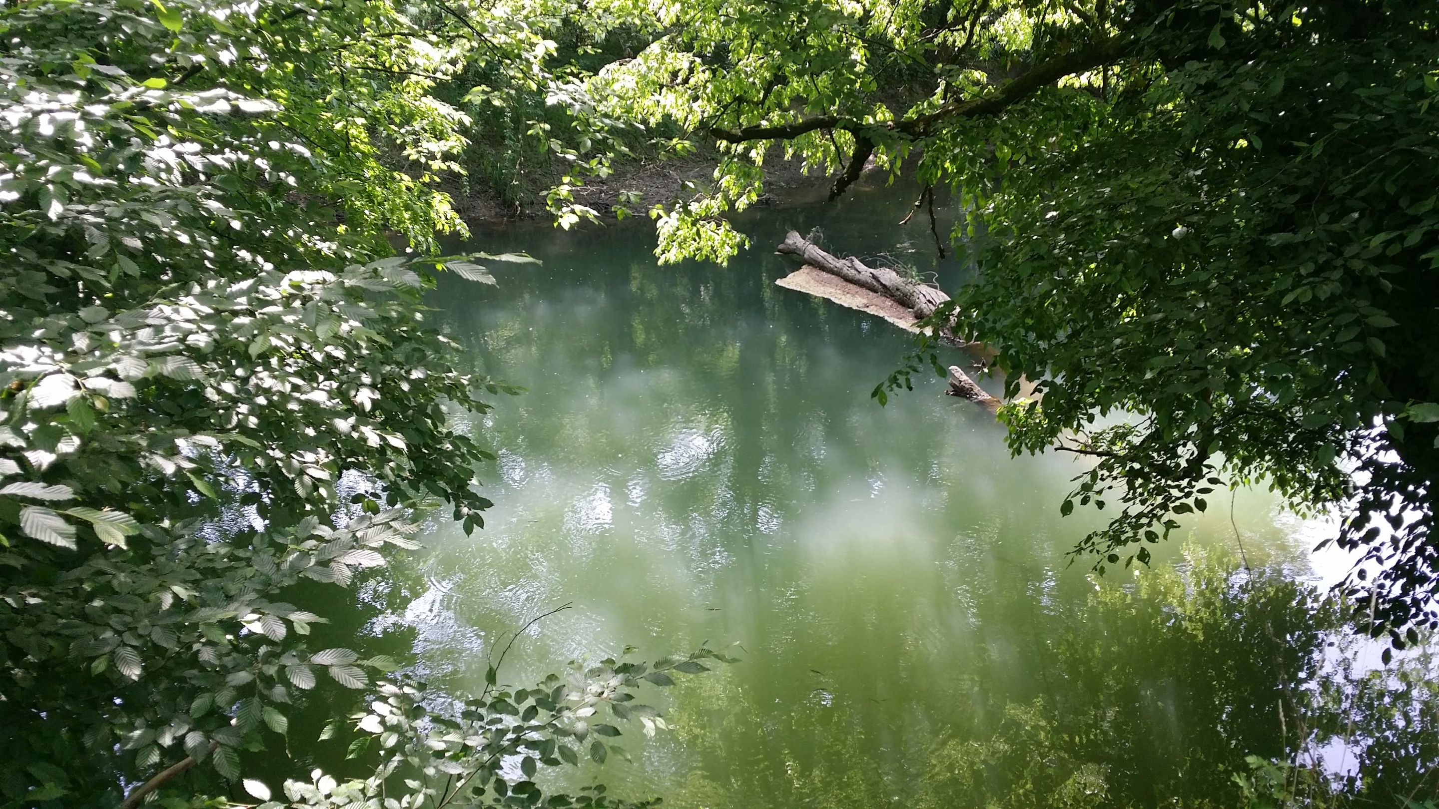 20180501_115100-1.jpg