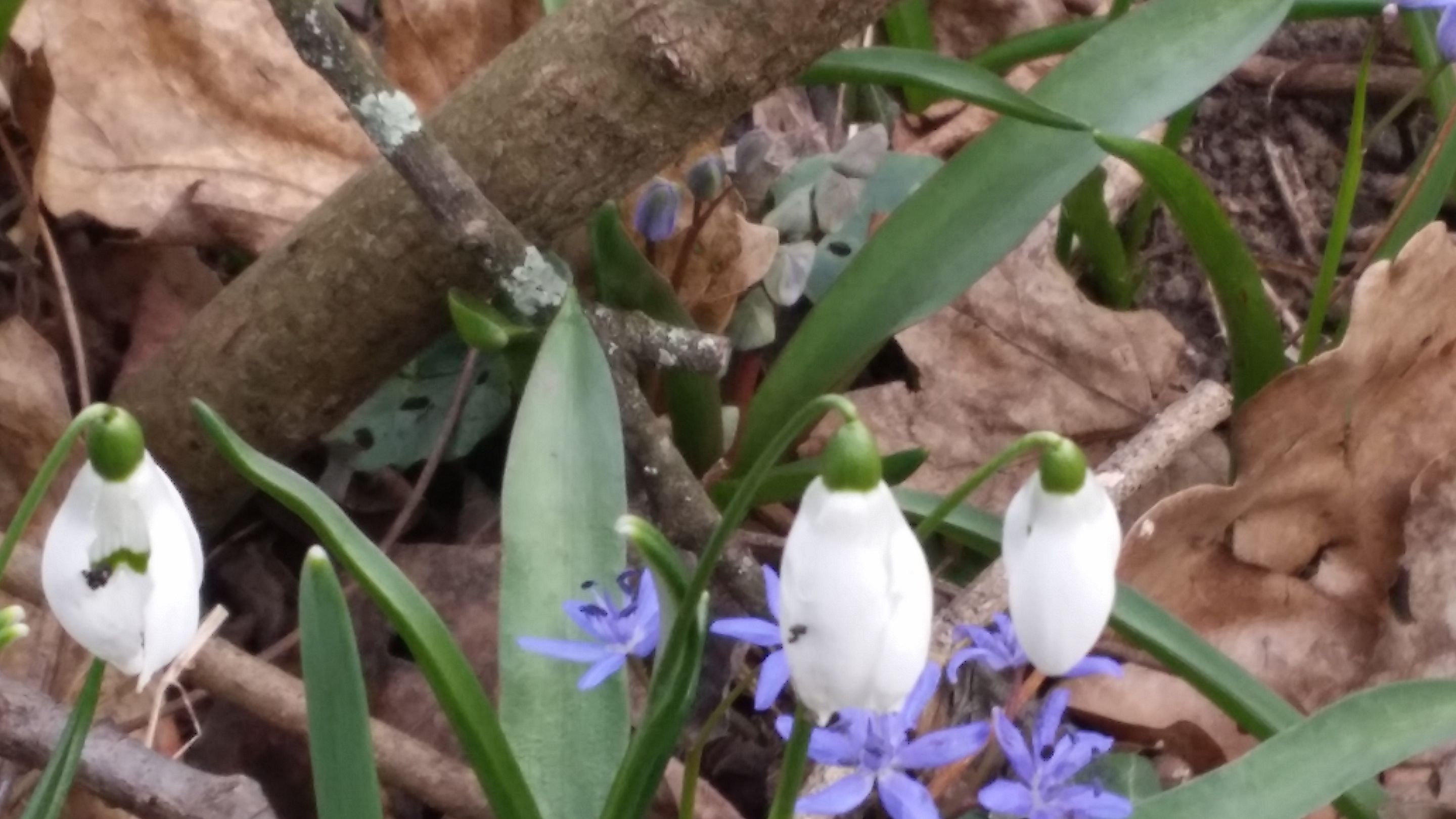 20190310_162228.jpg