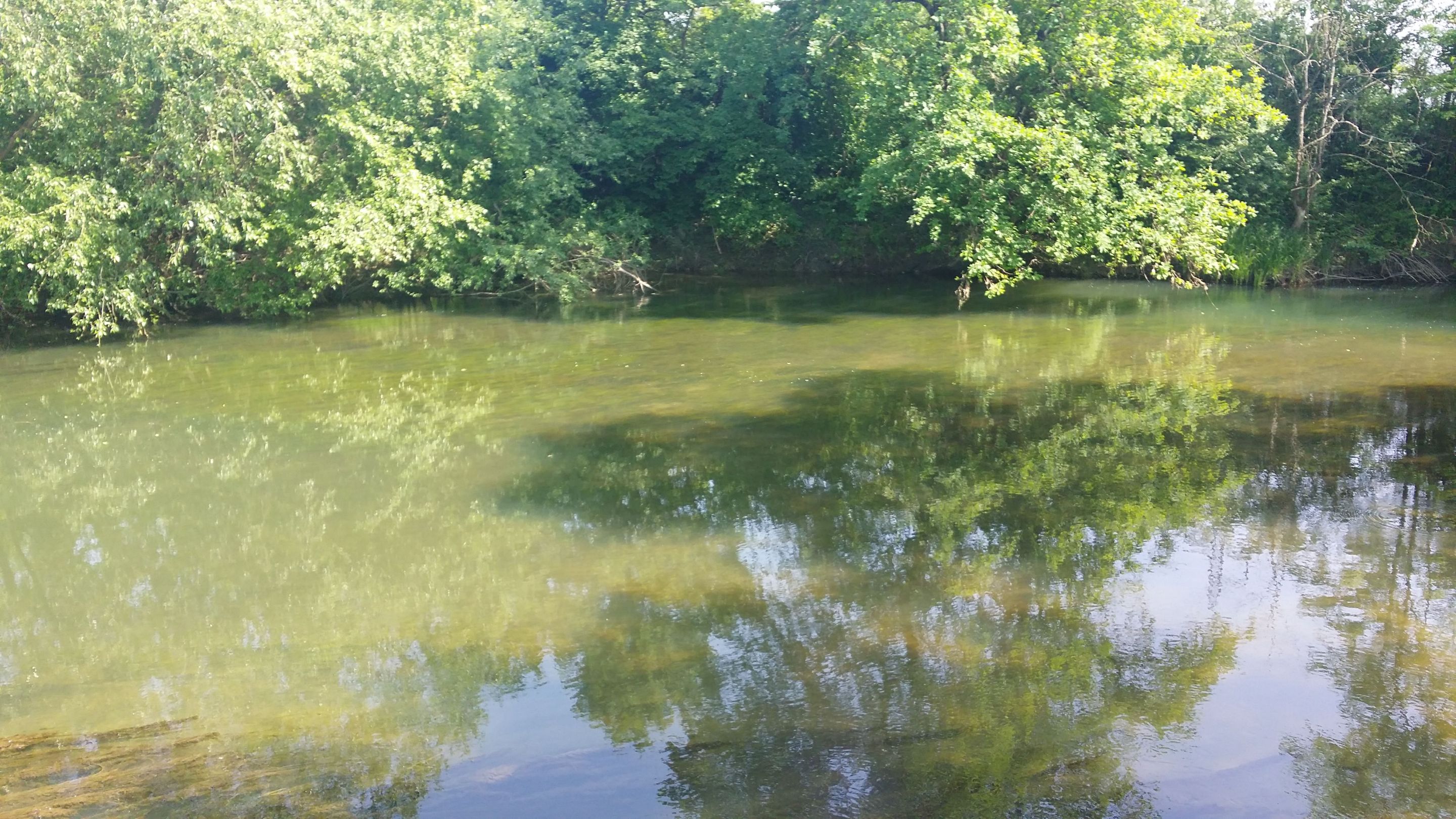 20180501_142239.jpg