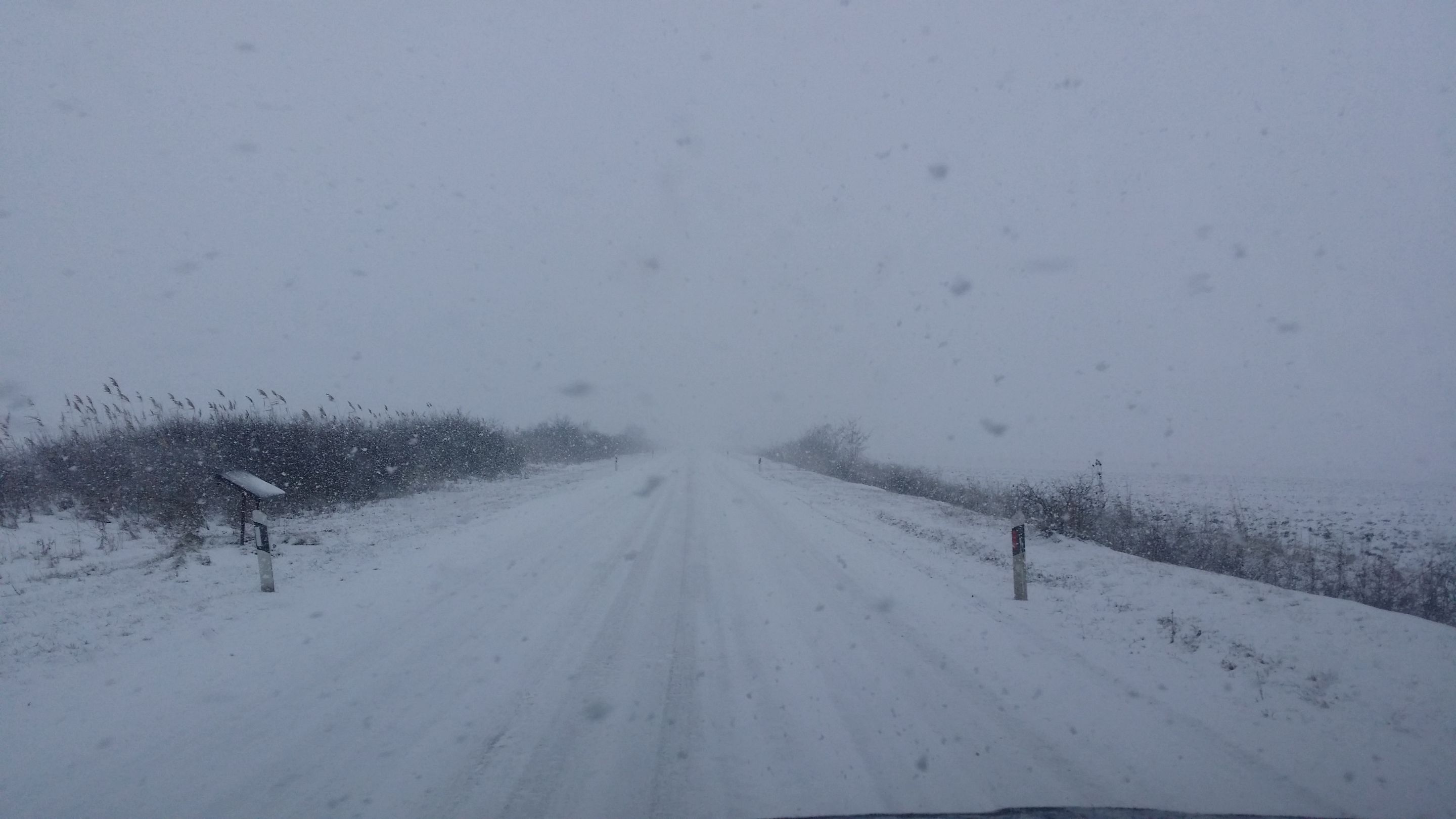 20220122_111633.jpg