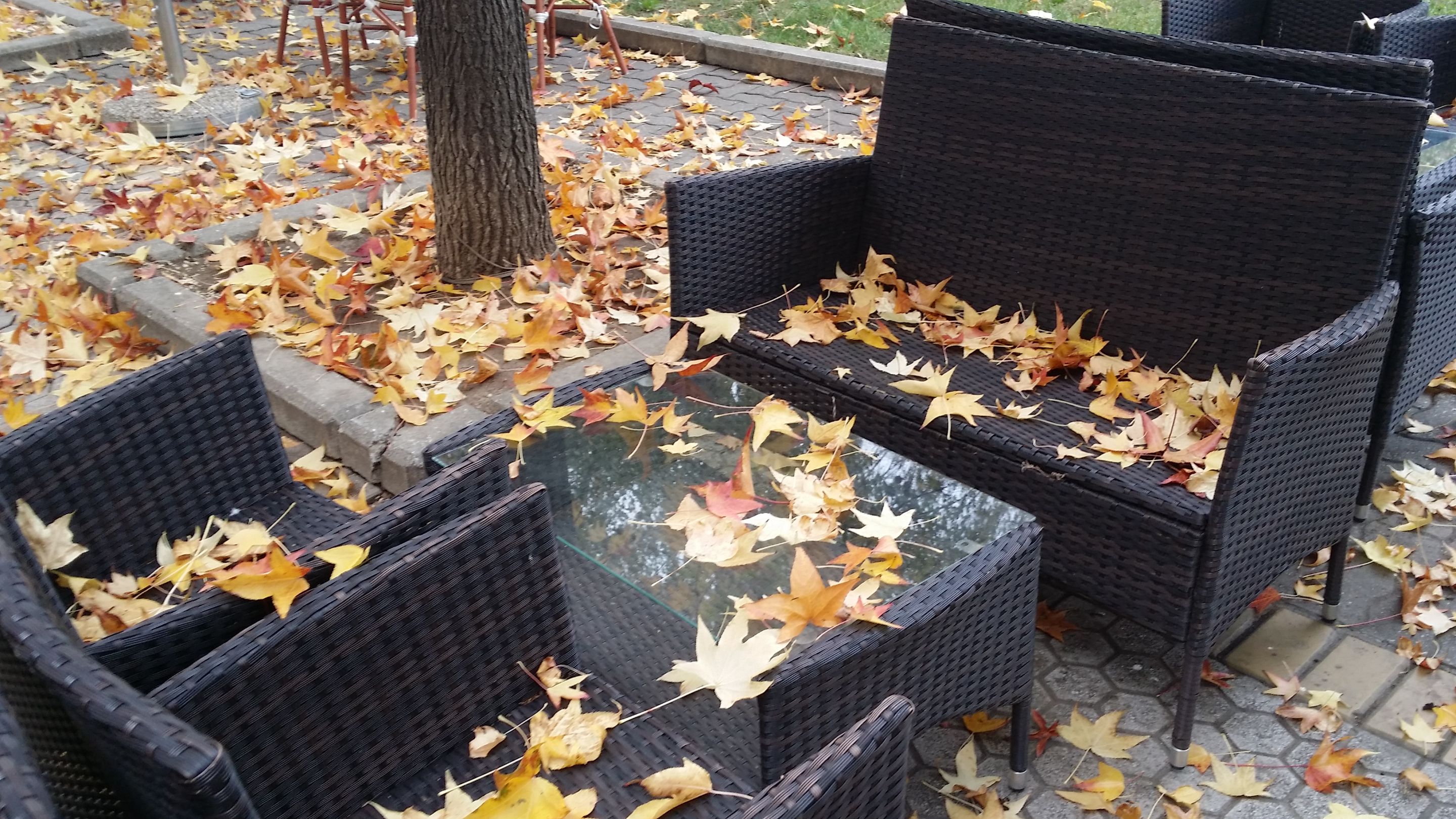 20201104_141911.jpg