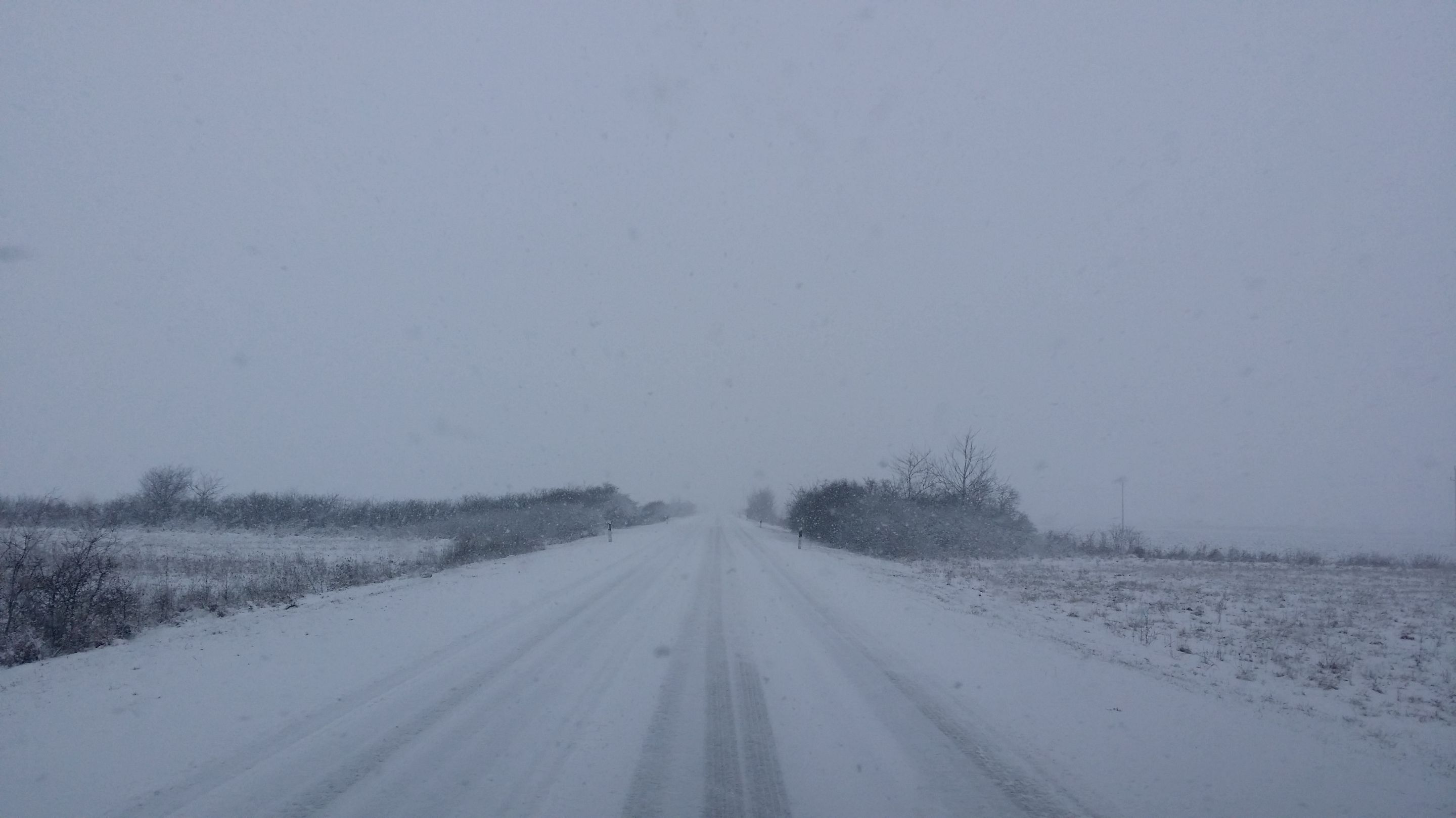 20220122_111943.jpg
