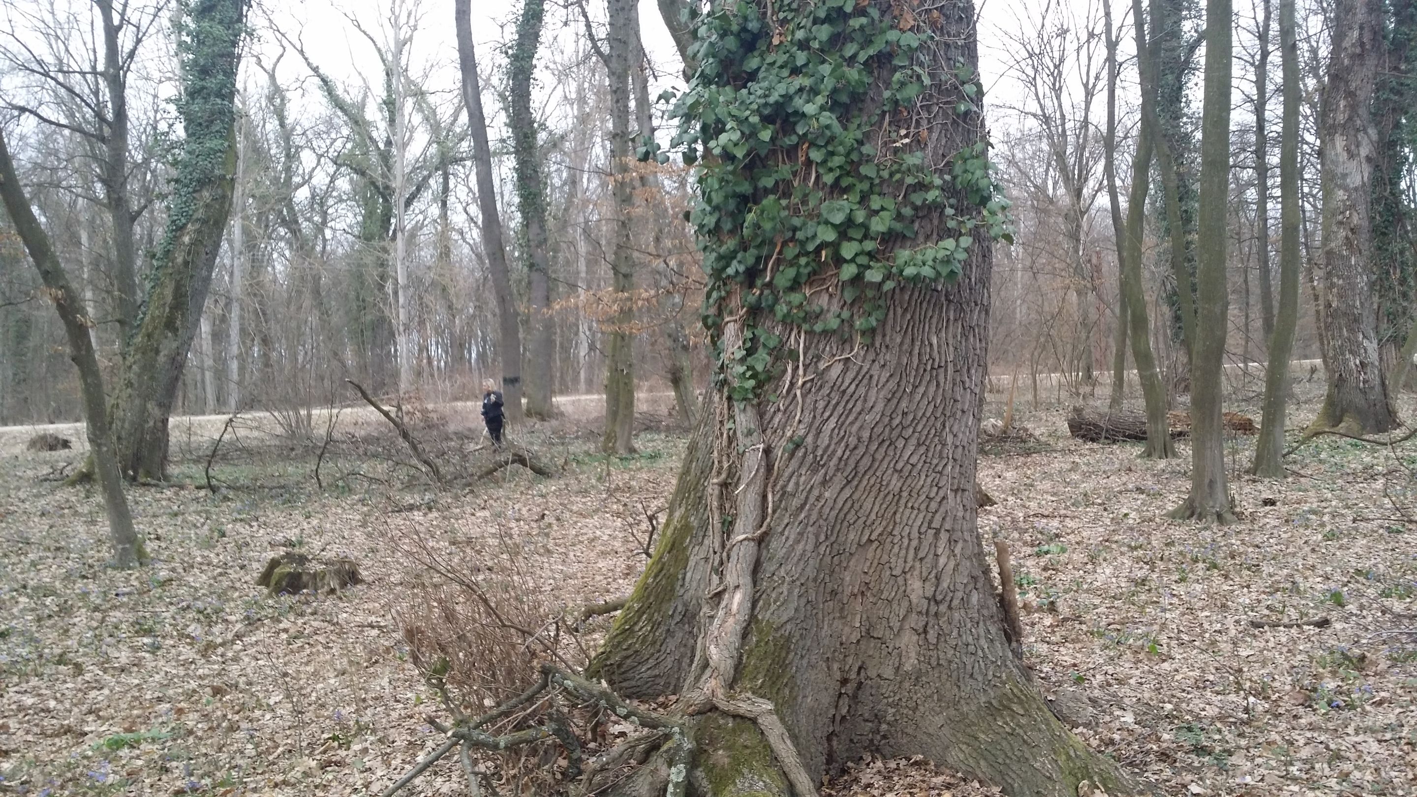 20190310_165445.jpg