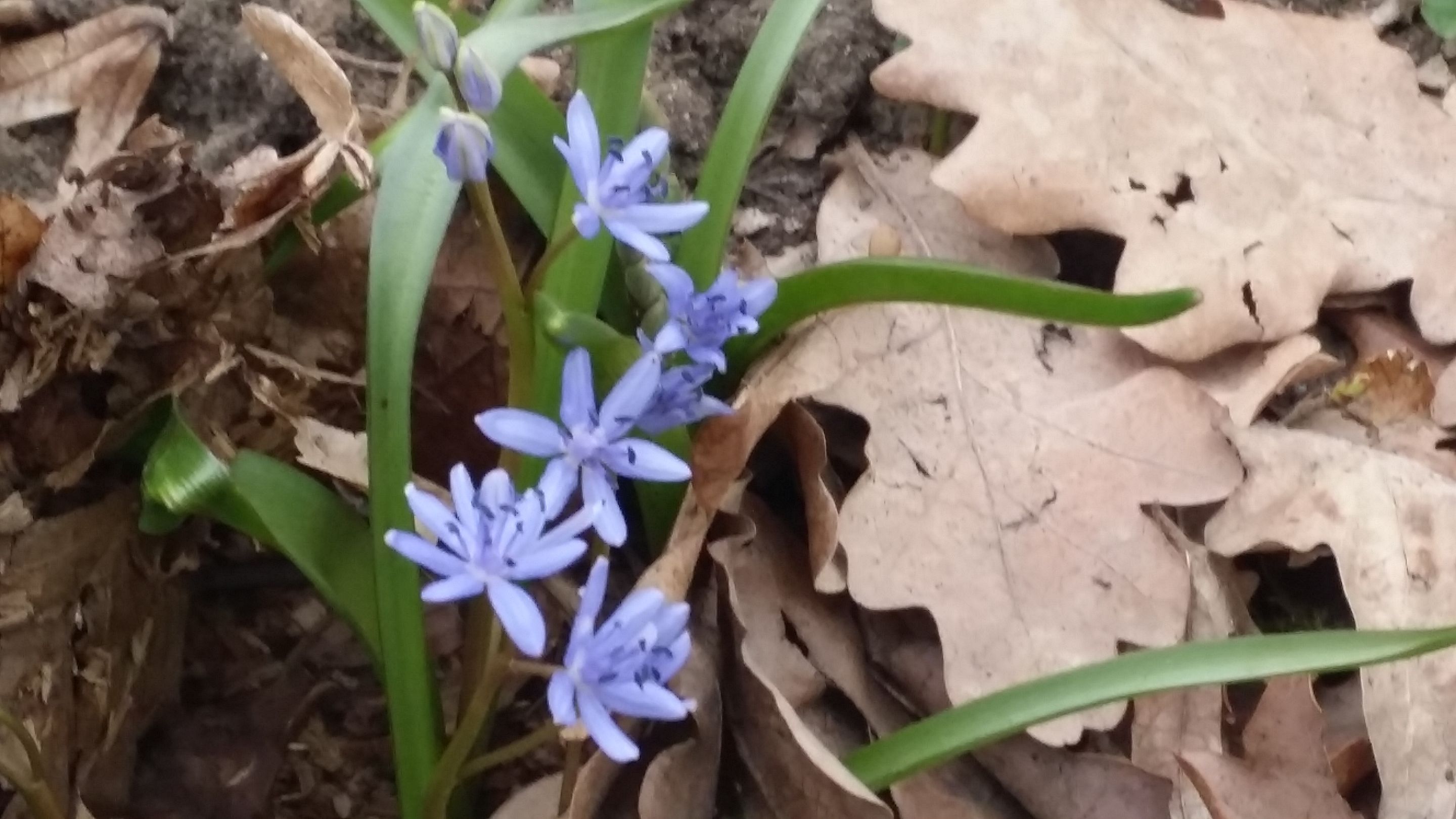 20190310_165816.jpg