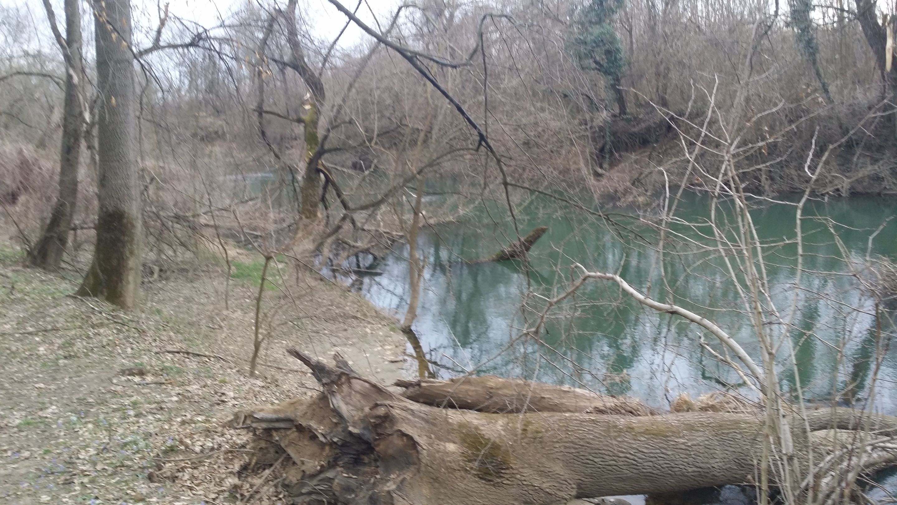 20190310_164747.jpg