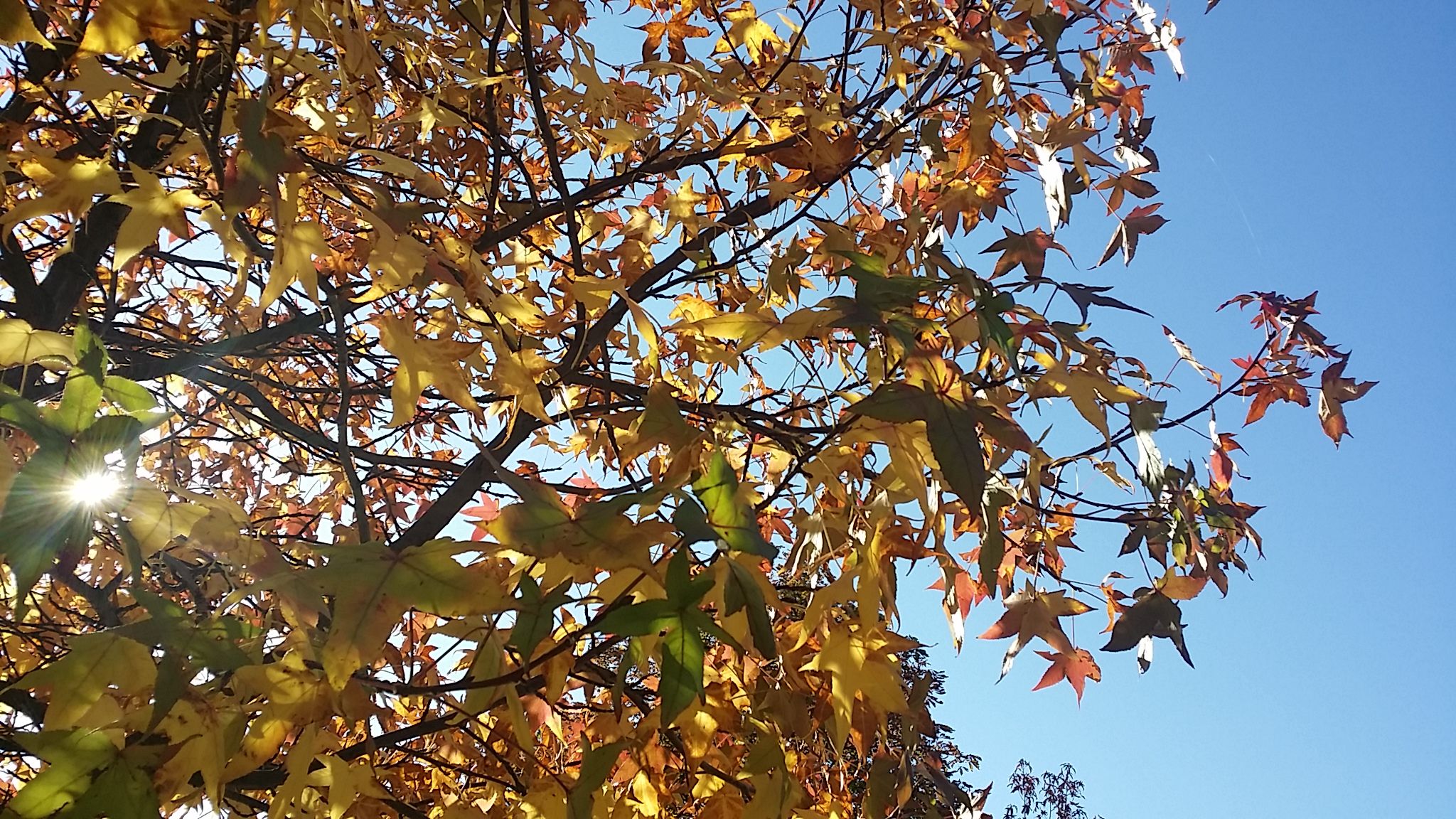 20211029_101547.jpg