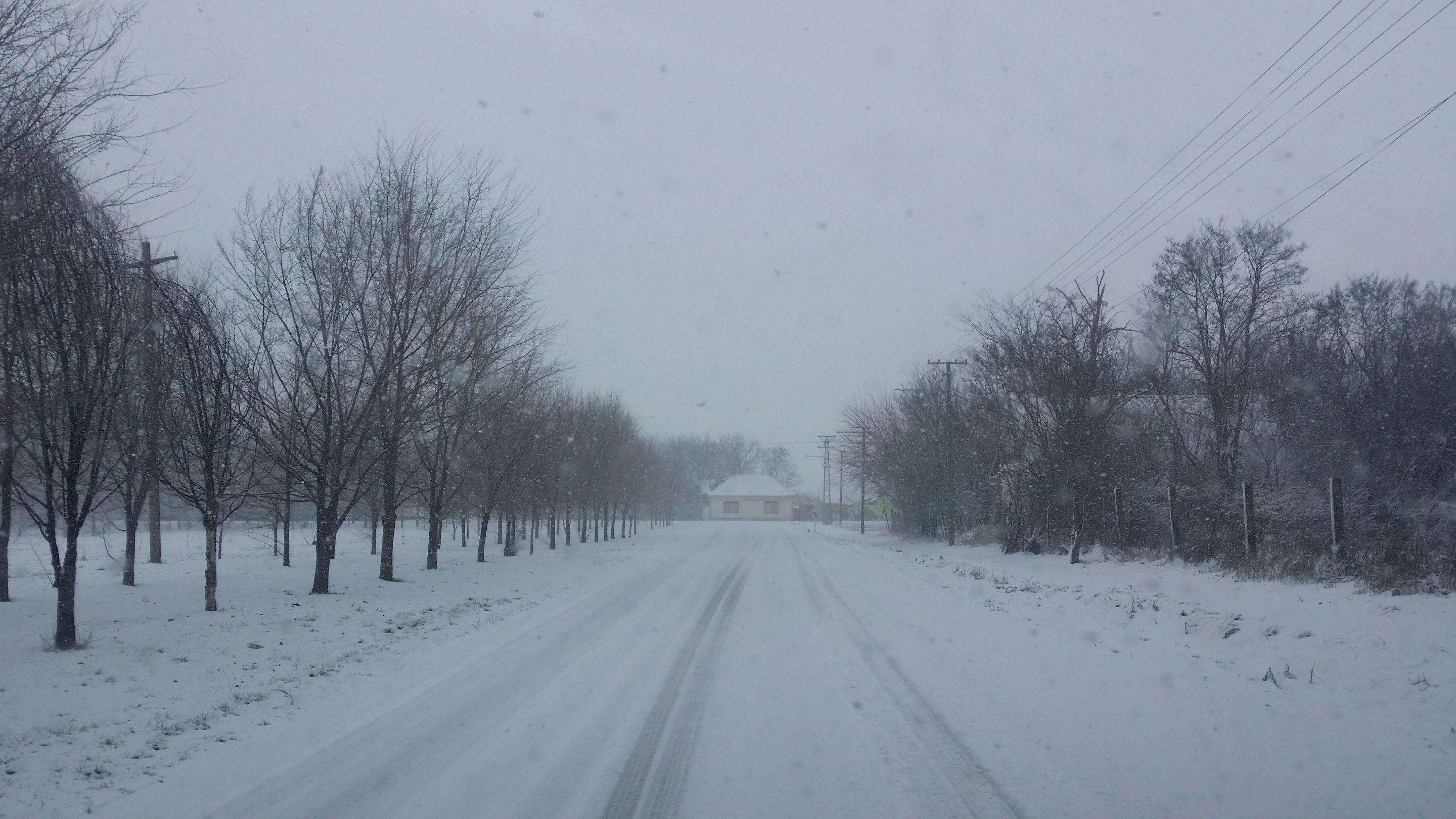 20220122_112354.jpg