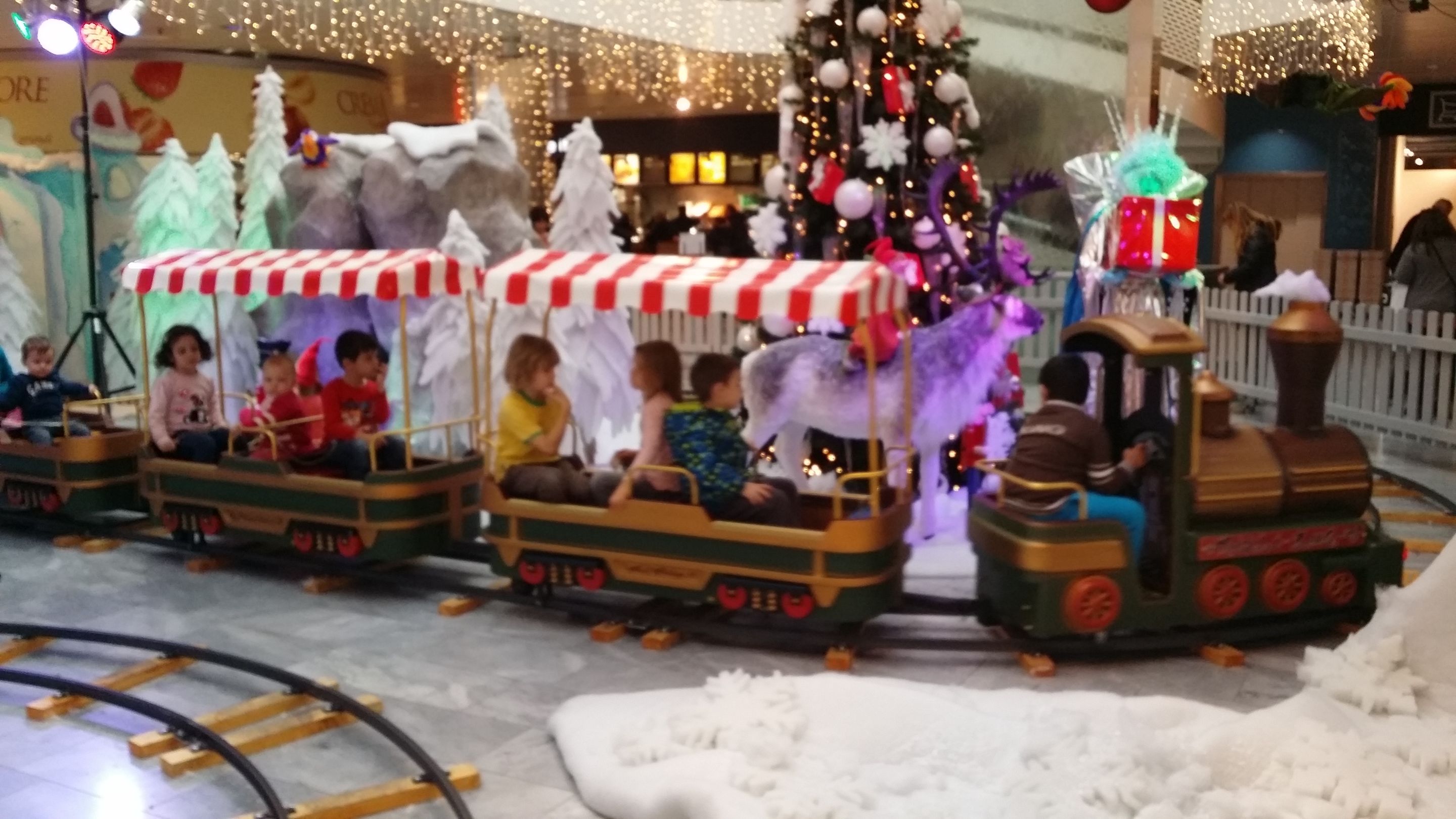 20141222_153155.jpg
