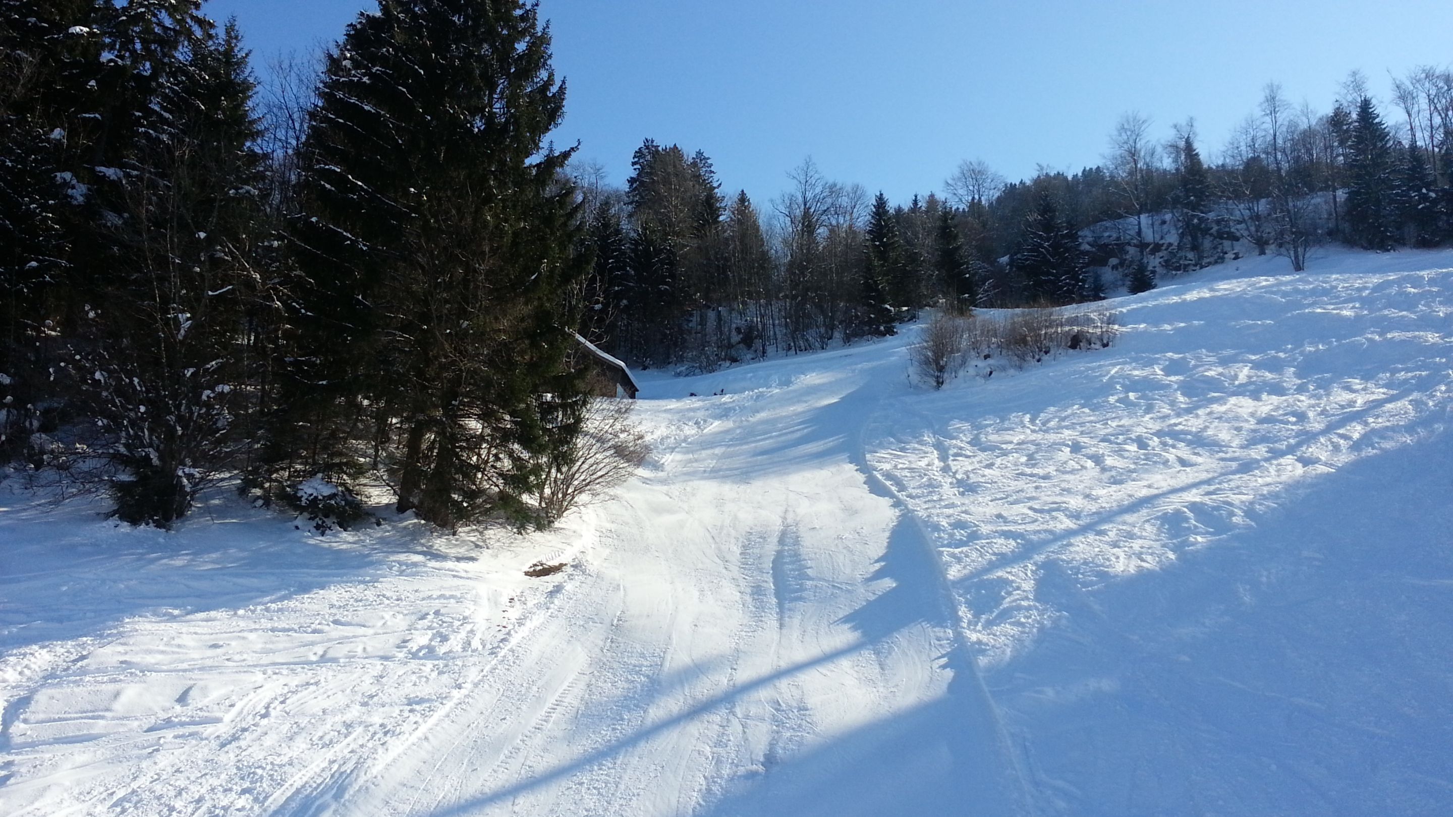 20130218_140914.jpg