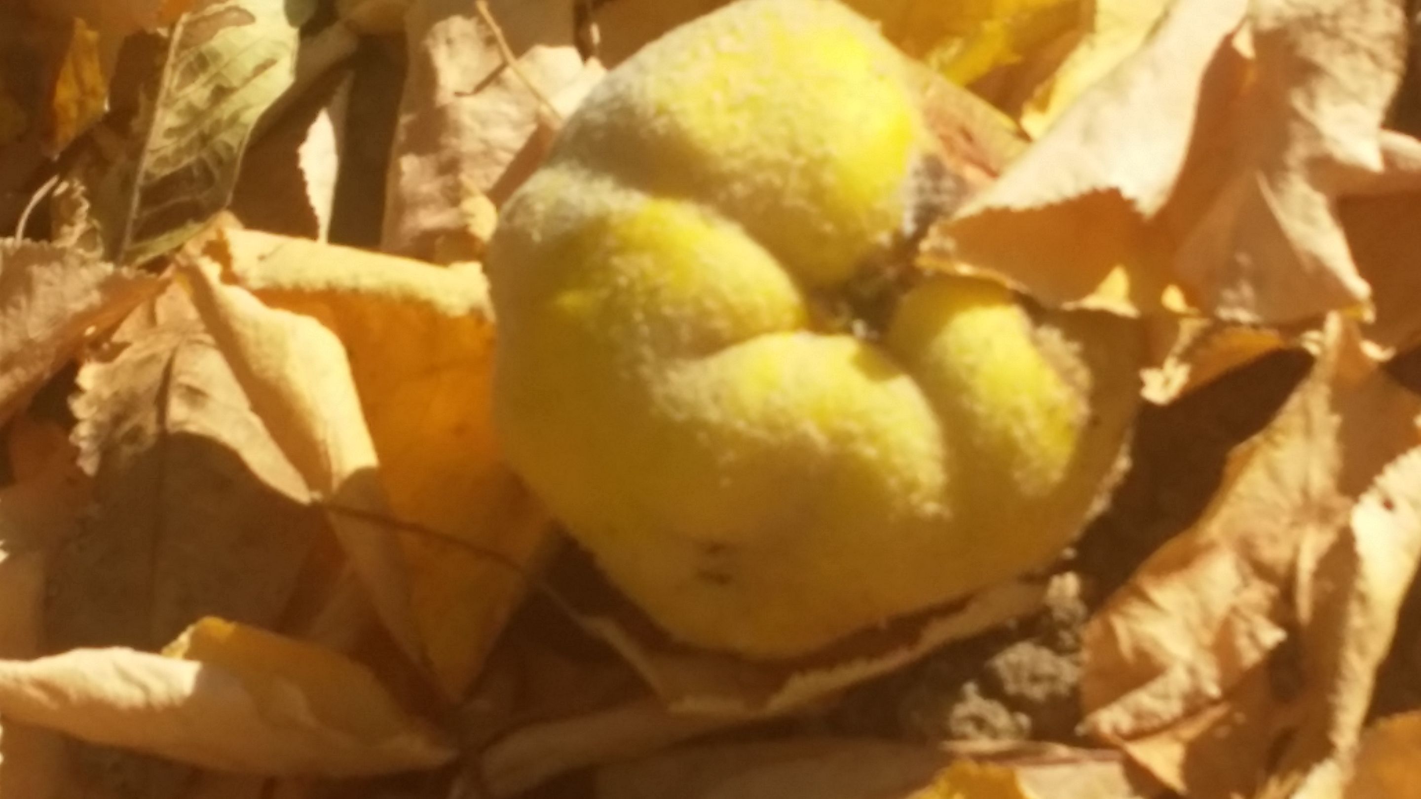 20191023_141914.jpg
