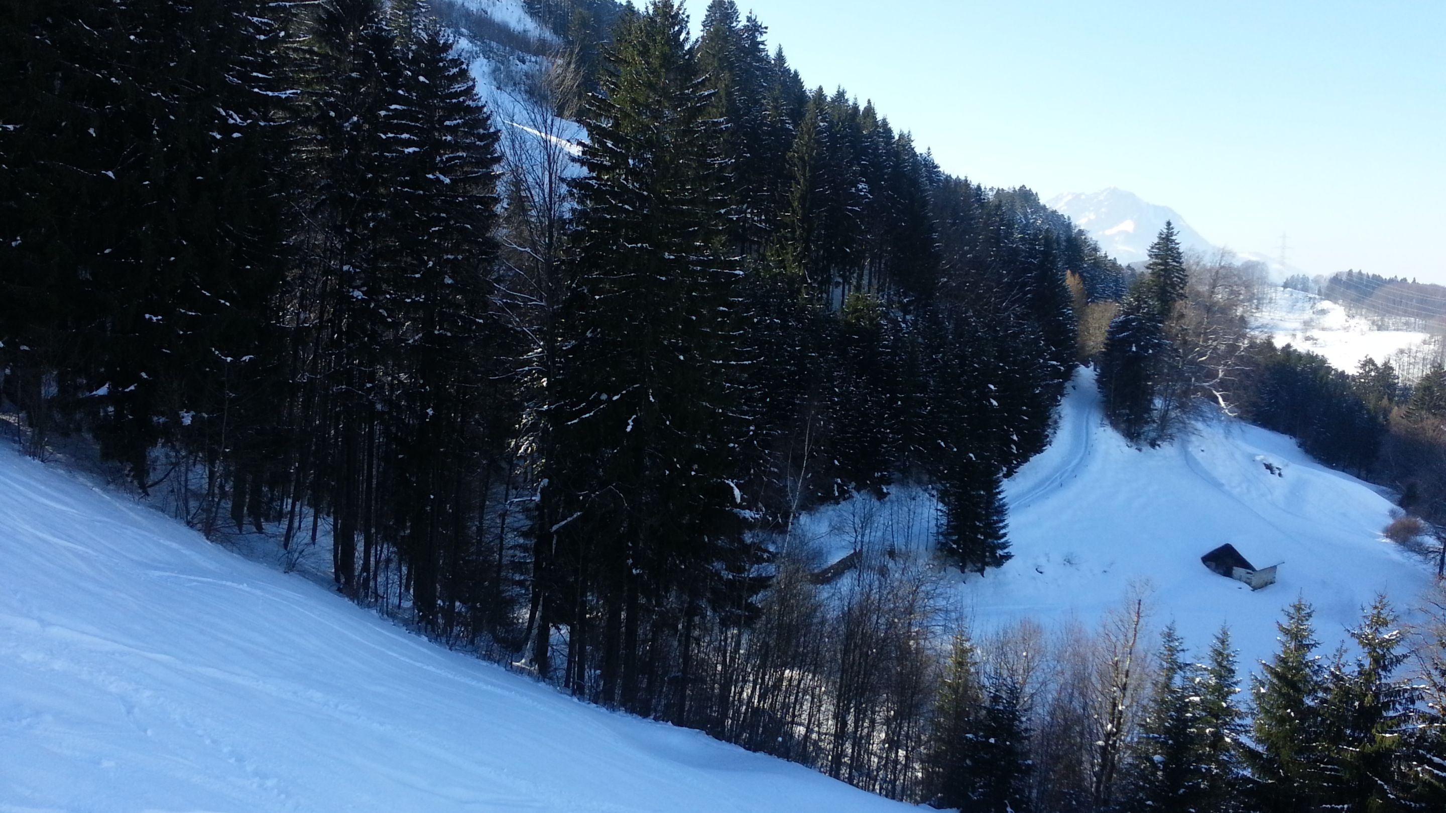 20130218_140920.jpg