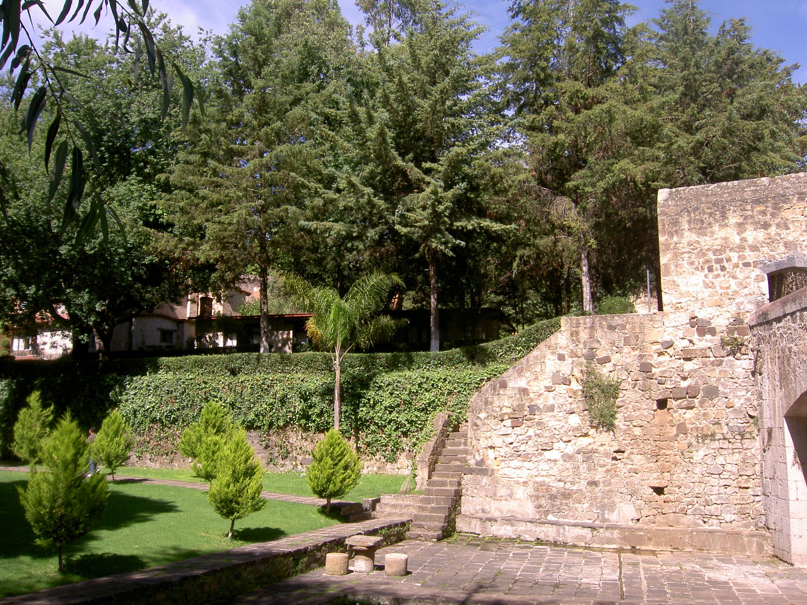 PICT6339.JPG