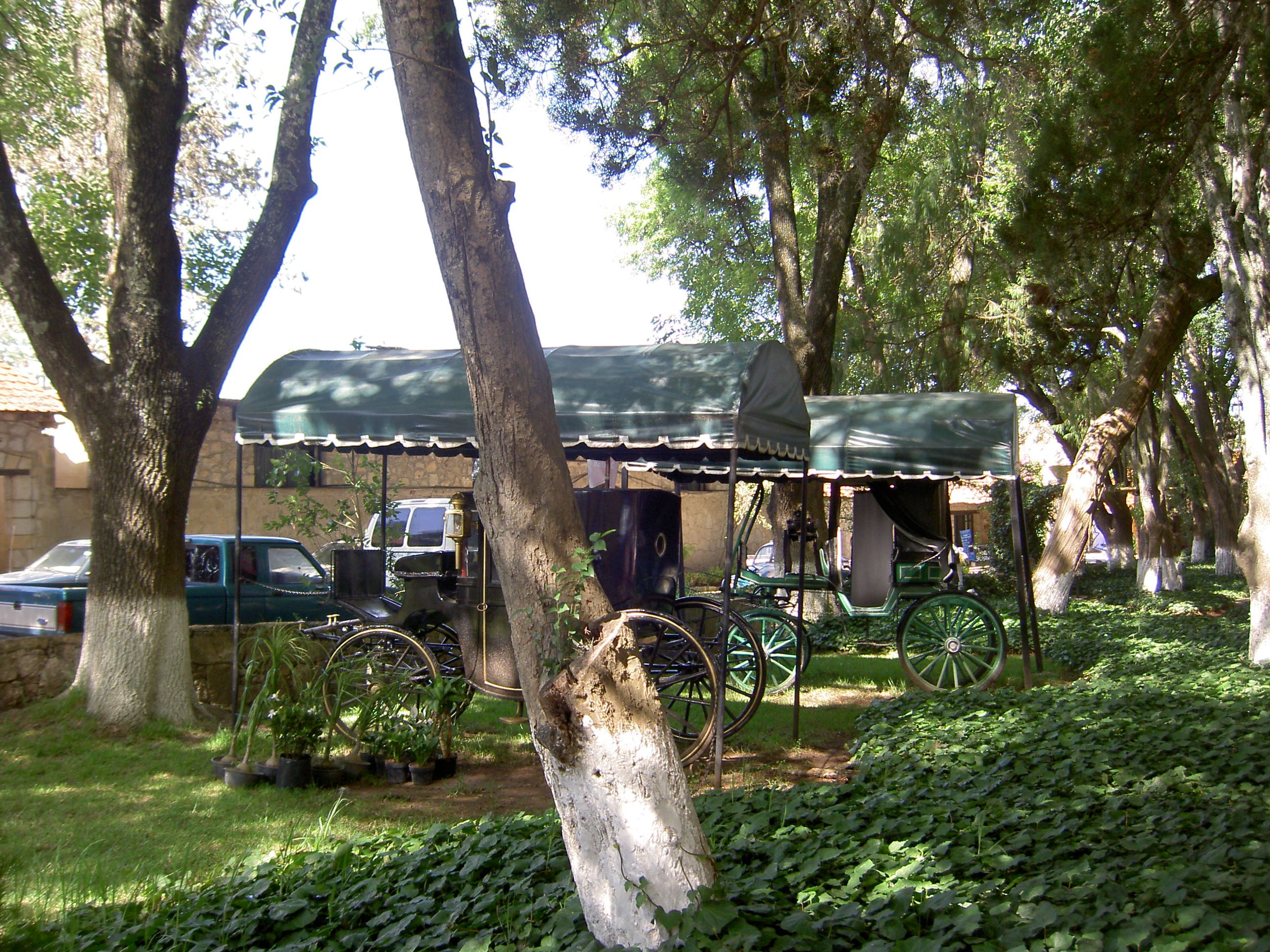 PICT6304.JPG