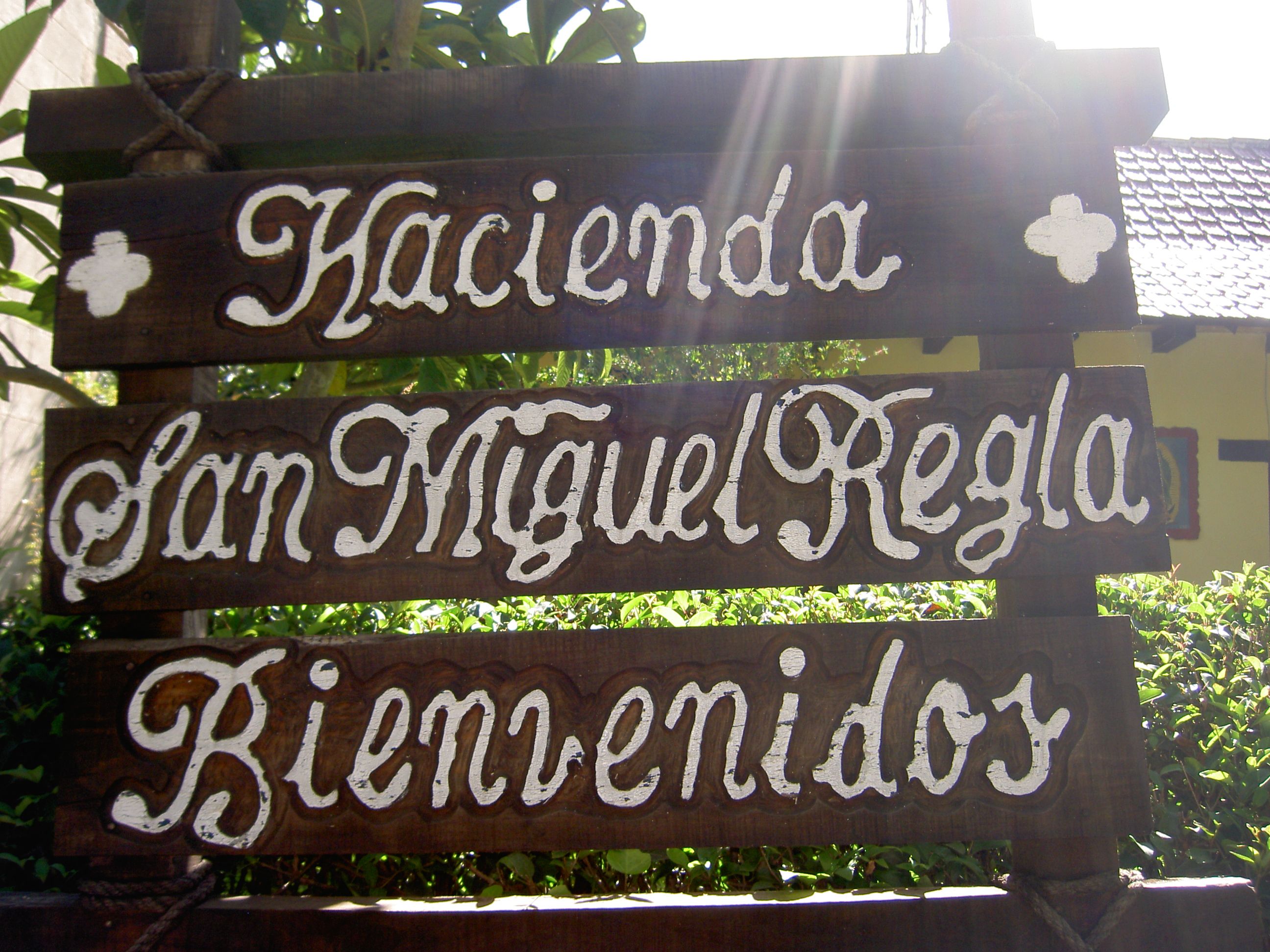 PICT6308.JPG